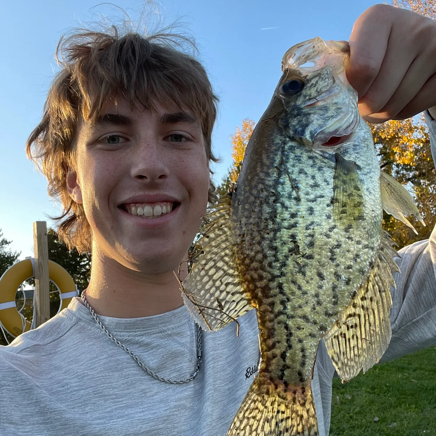 Black crappie caught on Fishbrain