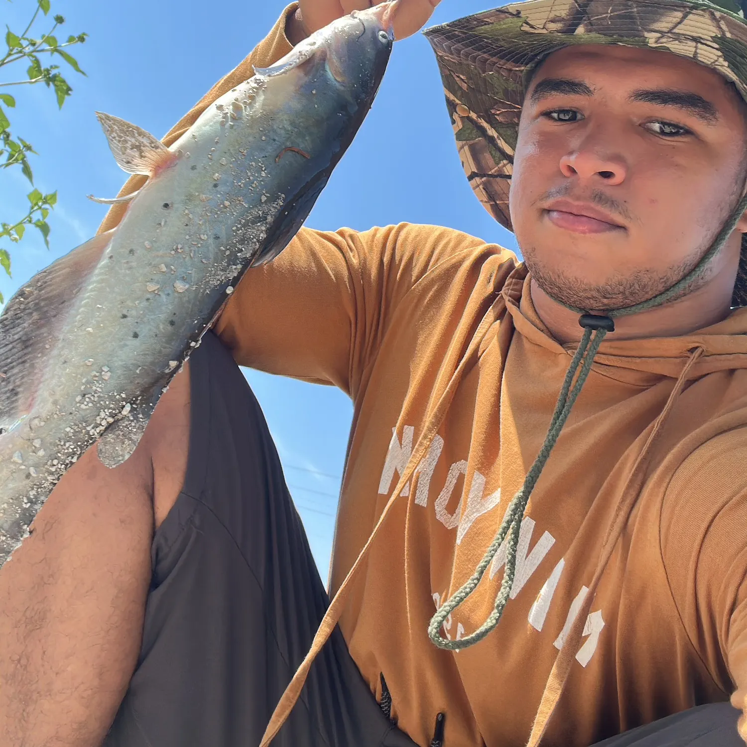 Channel catfish caught on Fishbrain