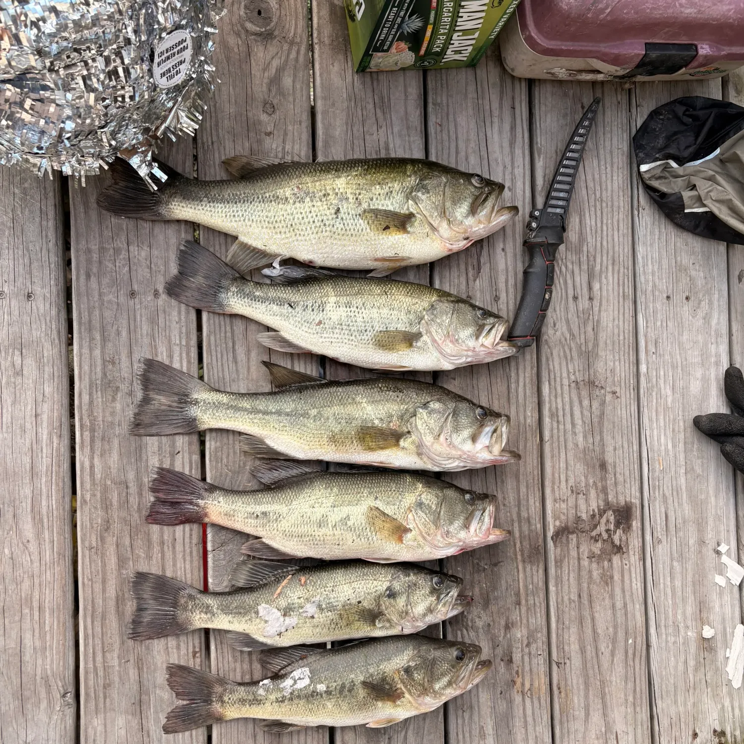 recently logged catches