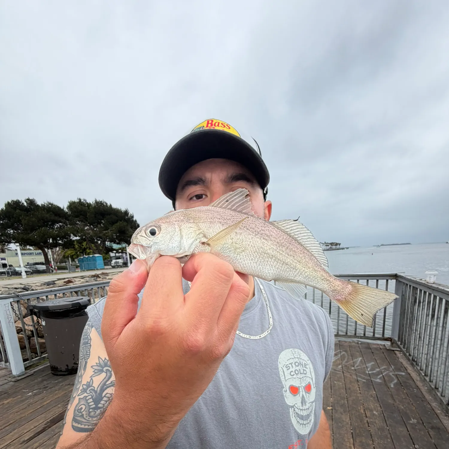 The most recent White croaker catches on Fishbrain