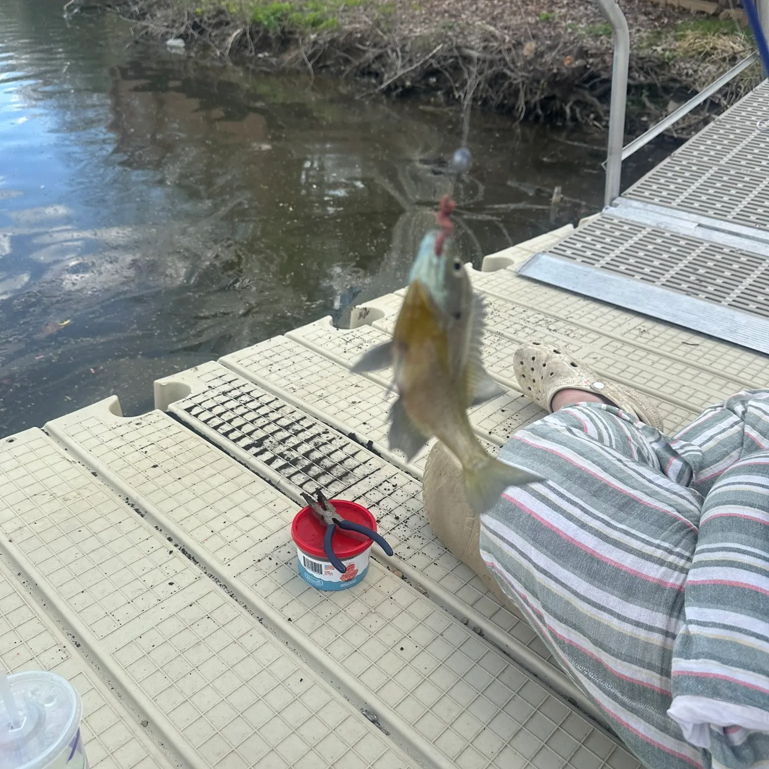 catch