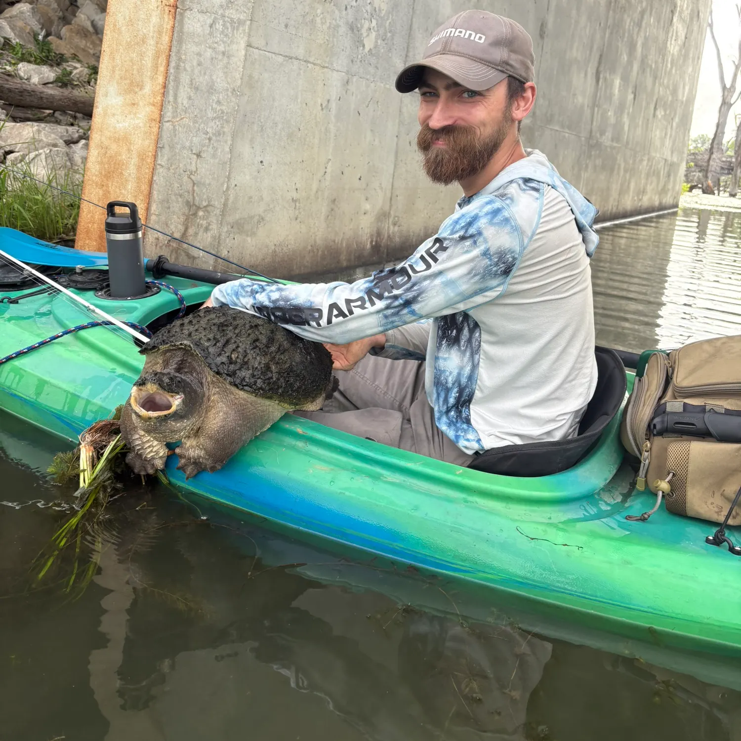 The most recent Australian swamp eel catches on Fishbrain