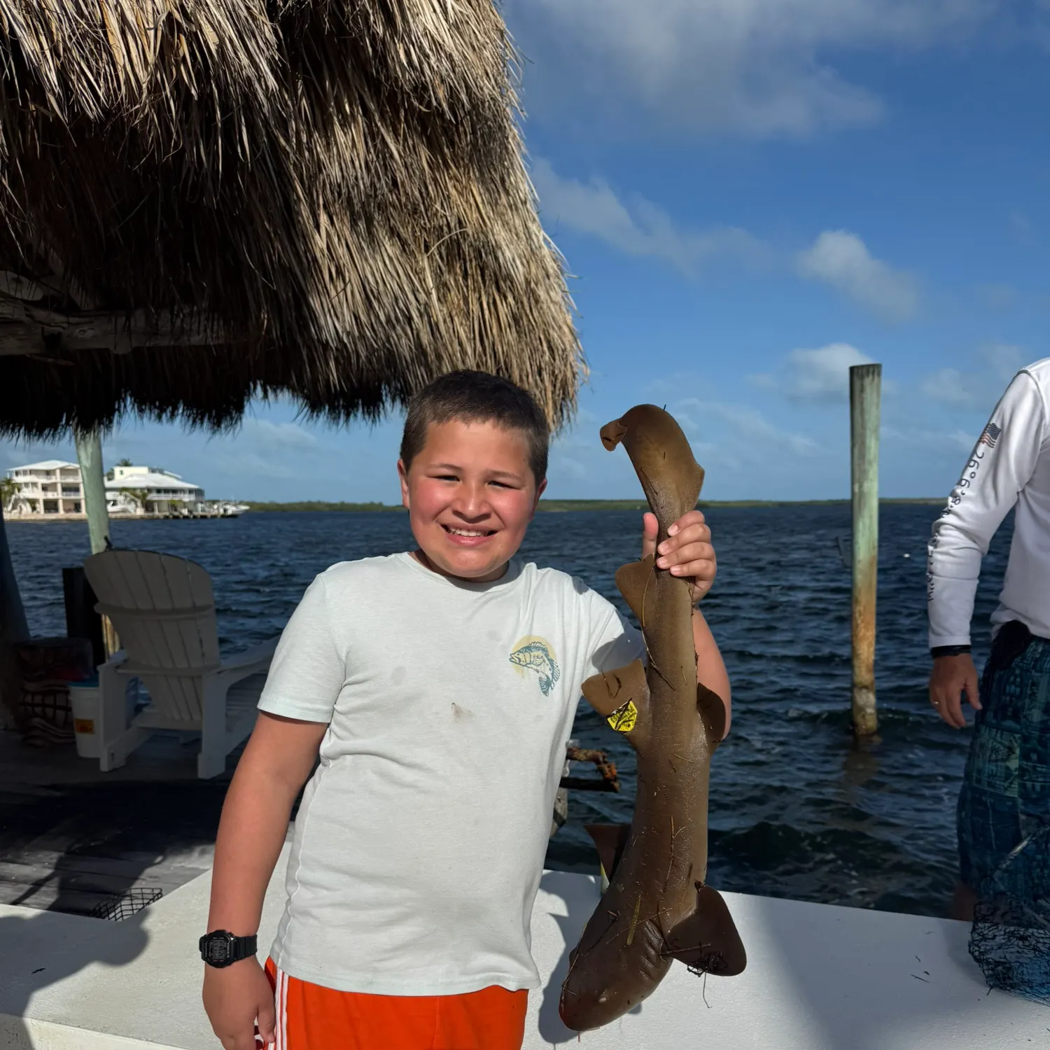 The most recent Nurse shark catches on Fishbrain