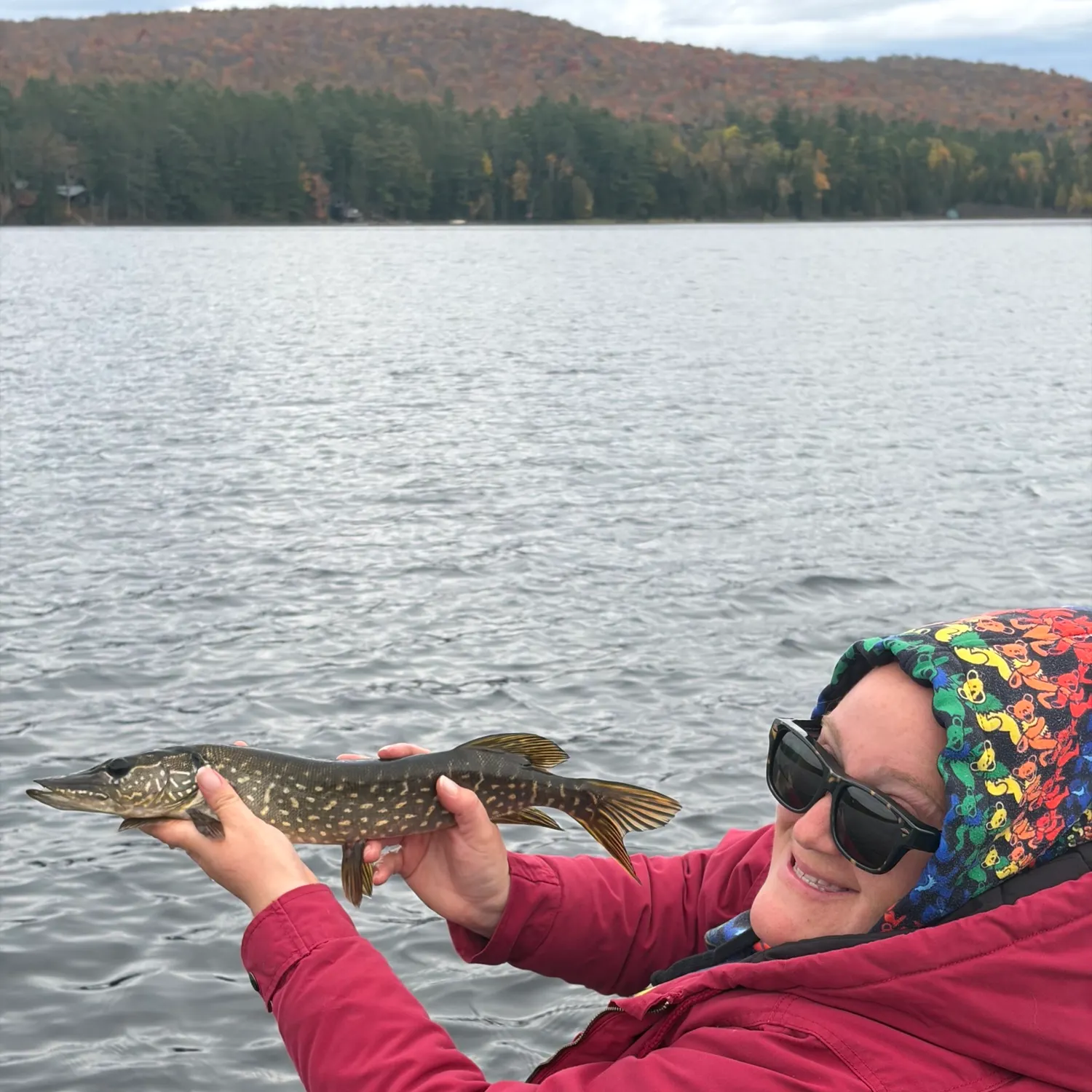 Northern pike caught on Fishbrain