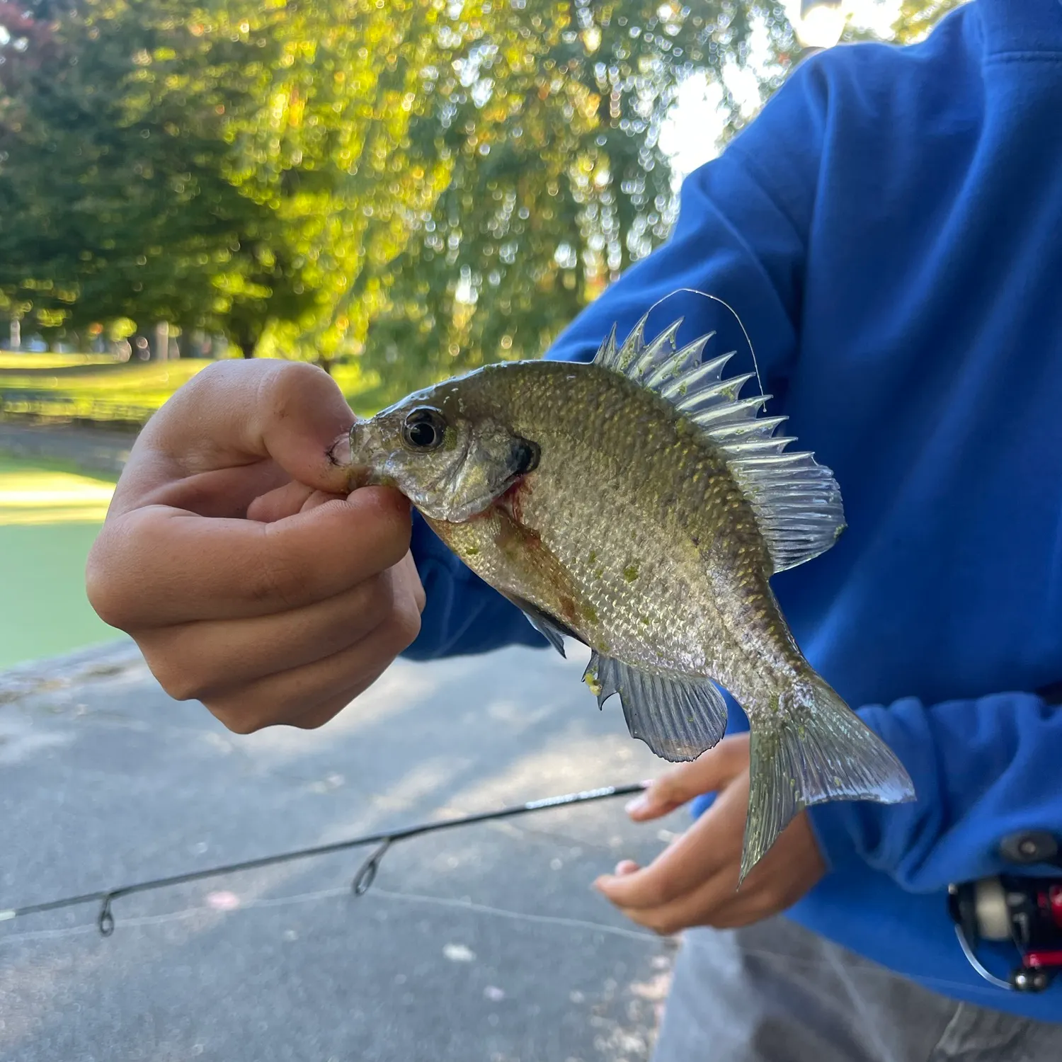 catch