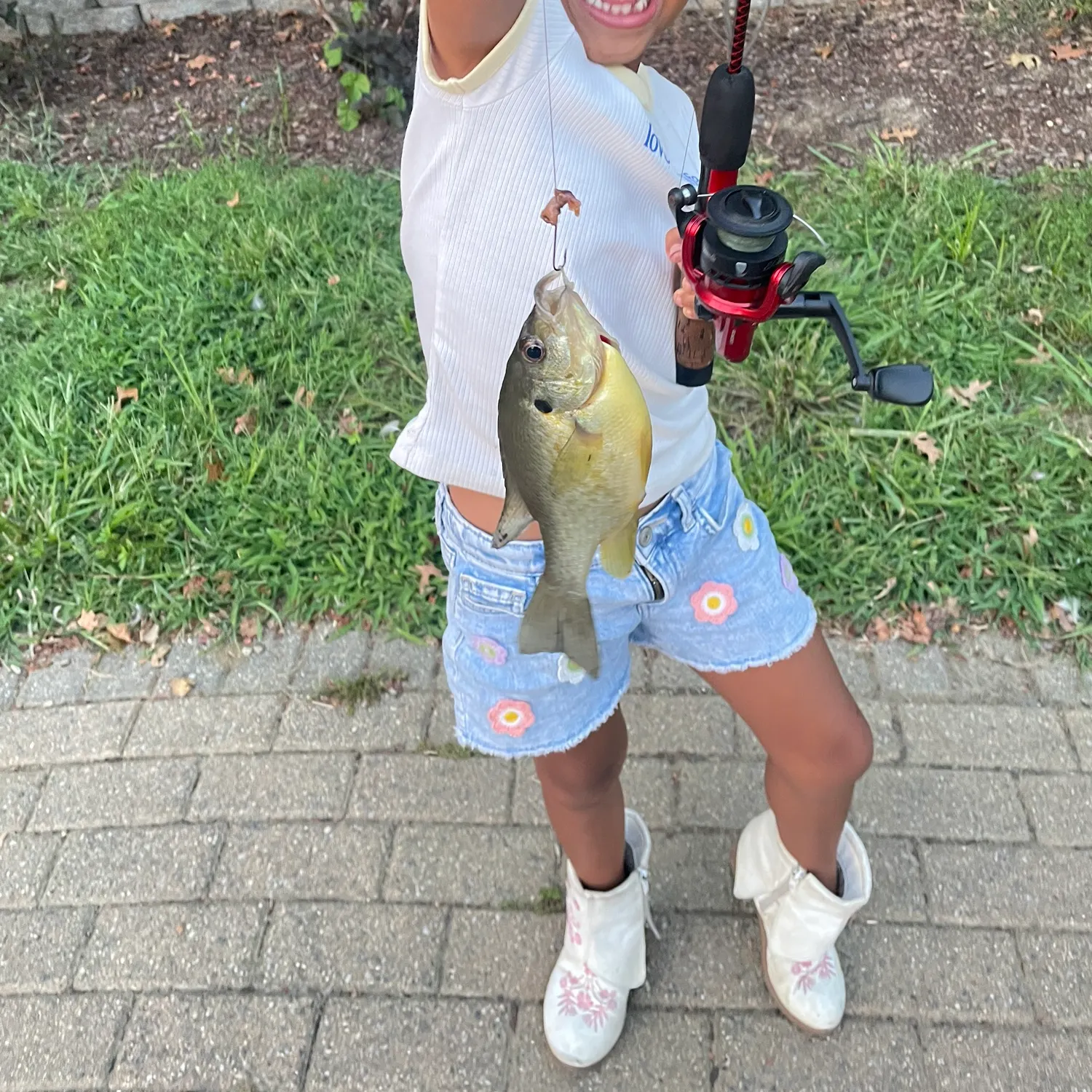 Bluegill caught on Fishbrain