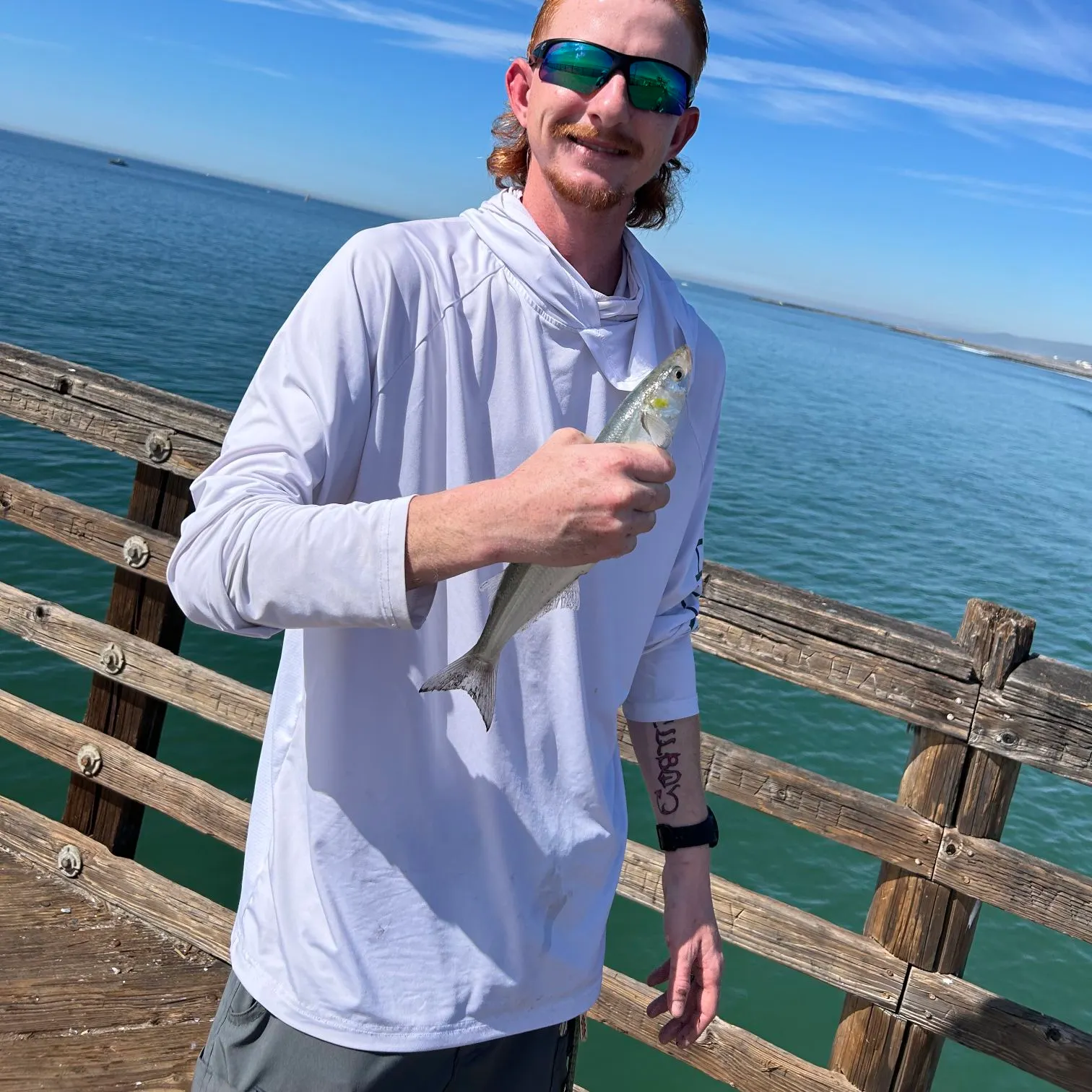 The most recent Surf smelt catches on Fishbrain