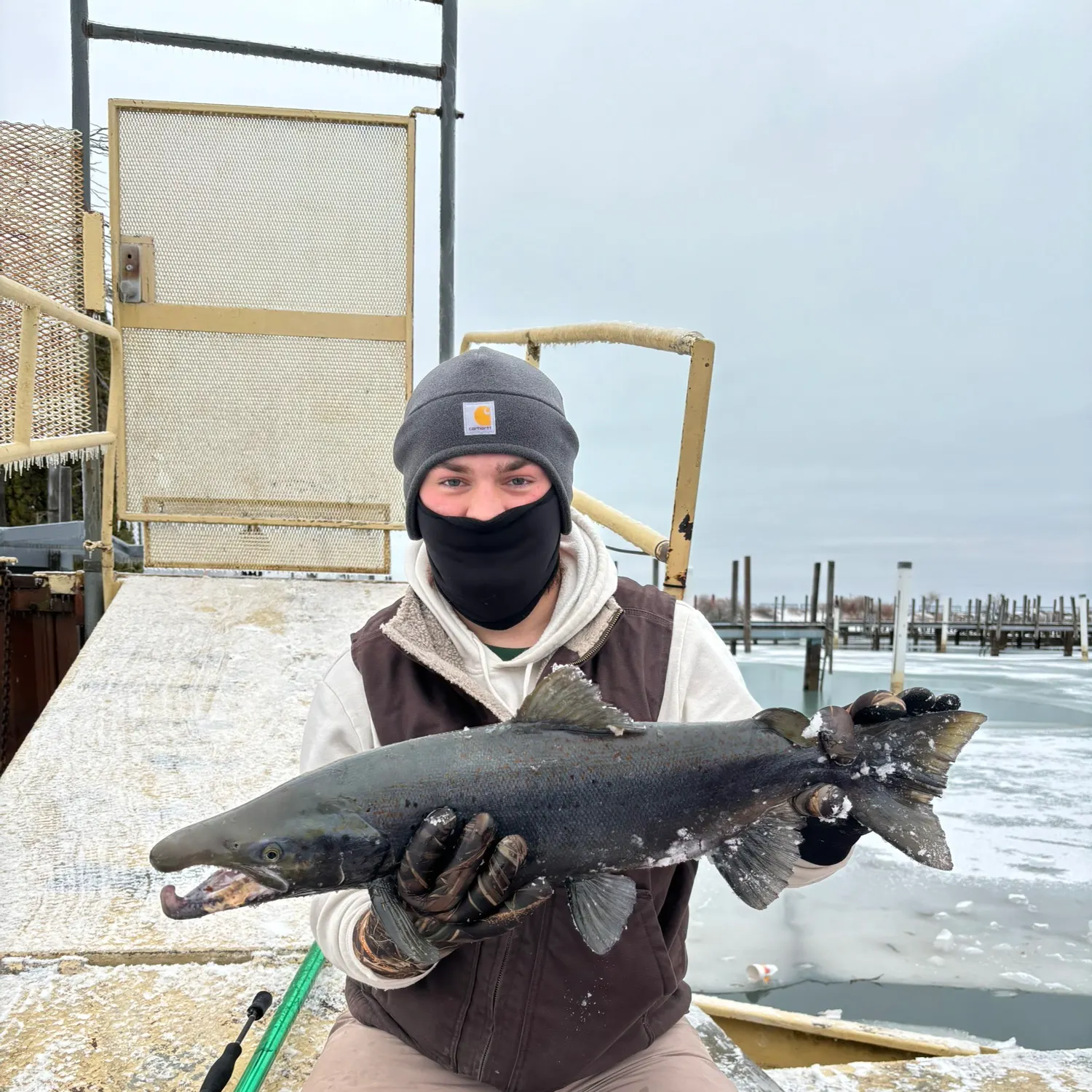The most recent Atlantic salmon catches on Fishbrain