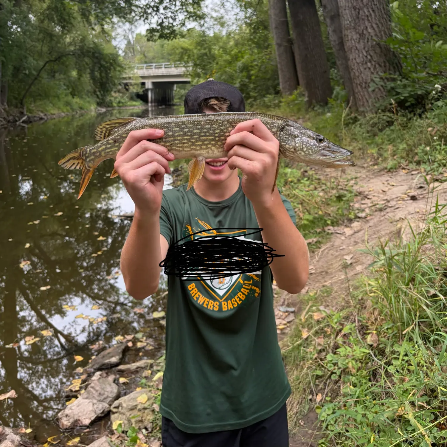 Northern pike caught on Fishbrain