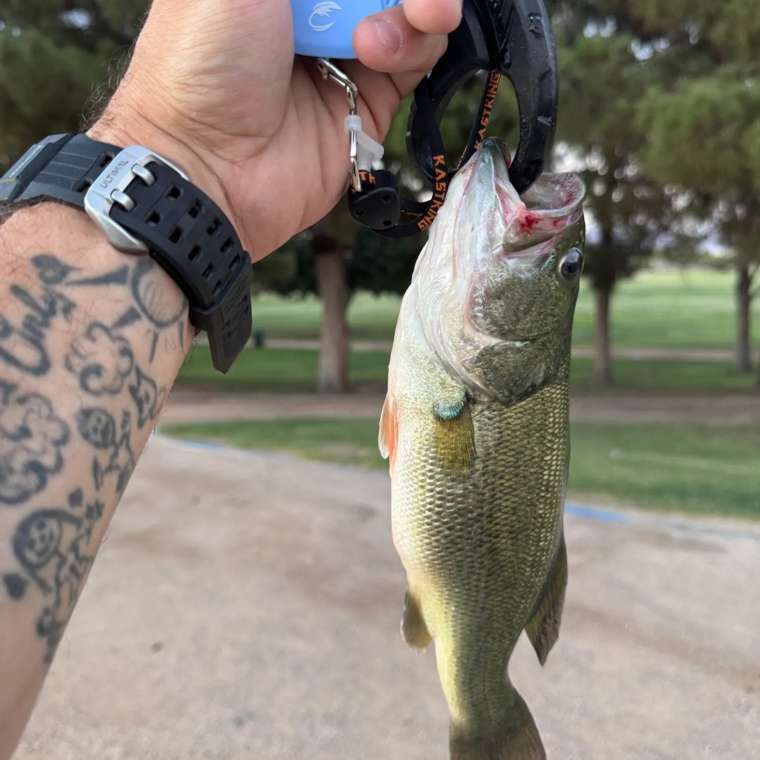 catch