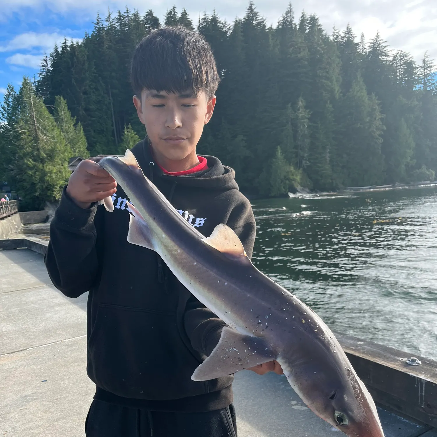 The most recent Pacific spiny dogfish catches on Fishbrain