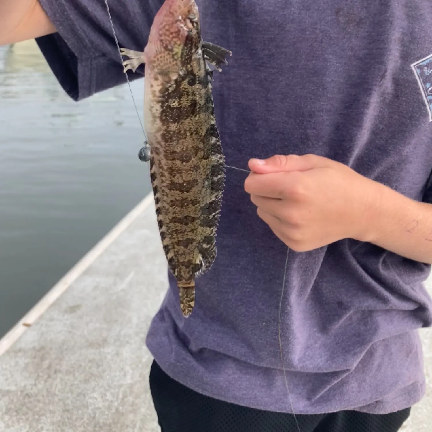 The most recent Onespot fringehead catches on Fishbrain
