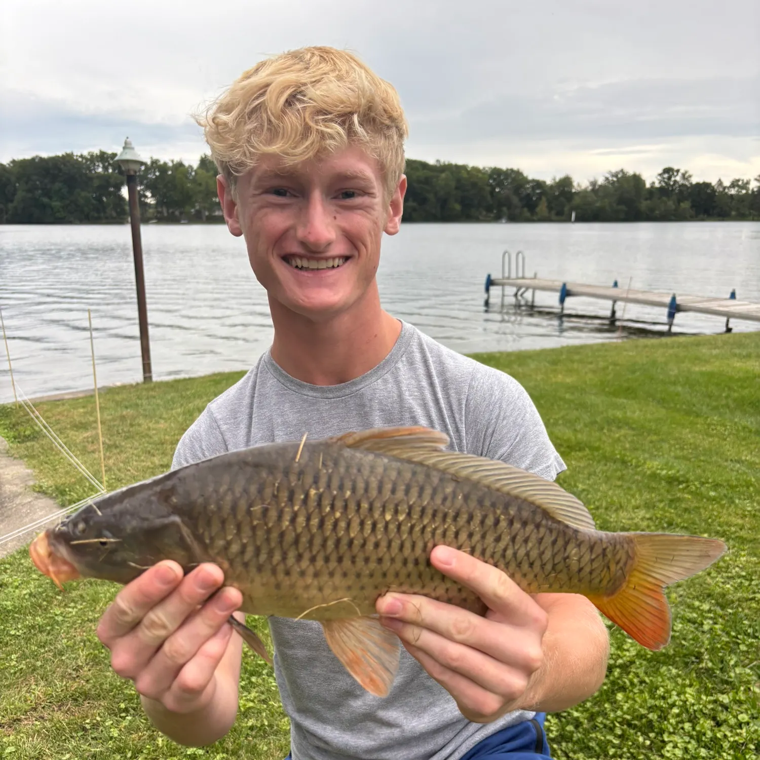 Common carp caught on Fishbrain