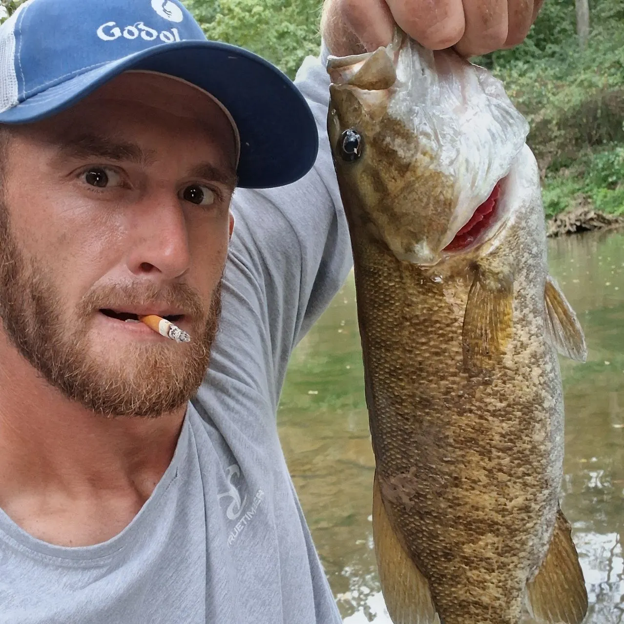 Smallmouth bass caught on Fishbrain