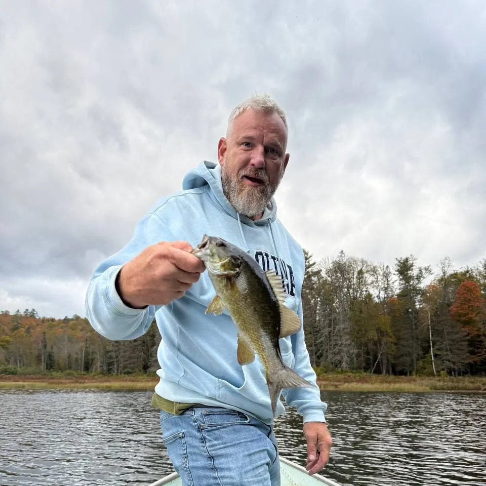 Smallmouth bass caught on Fishbrain