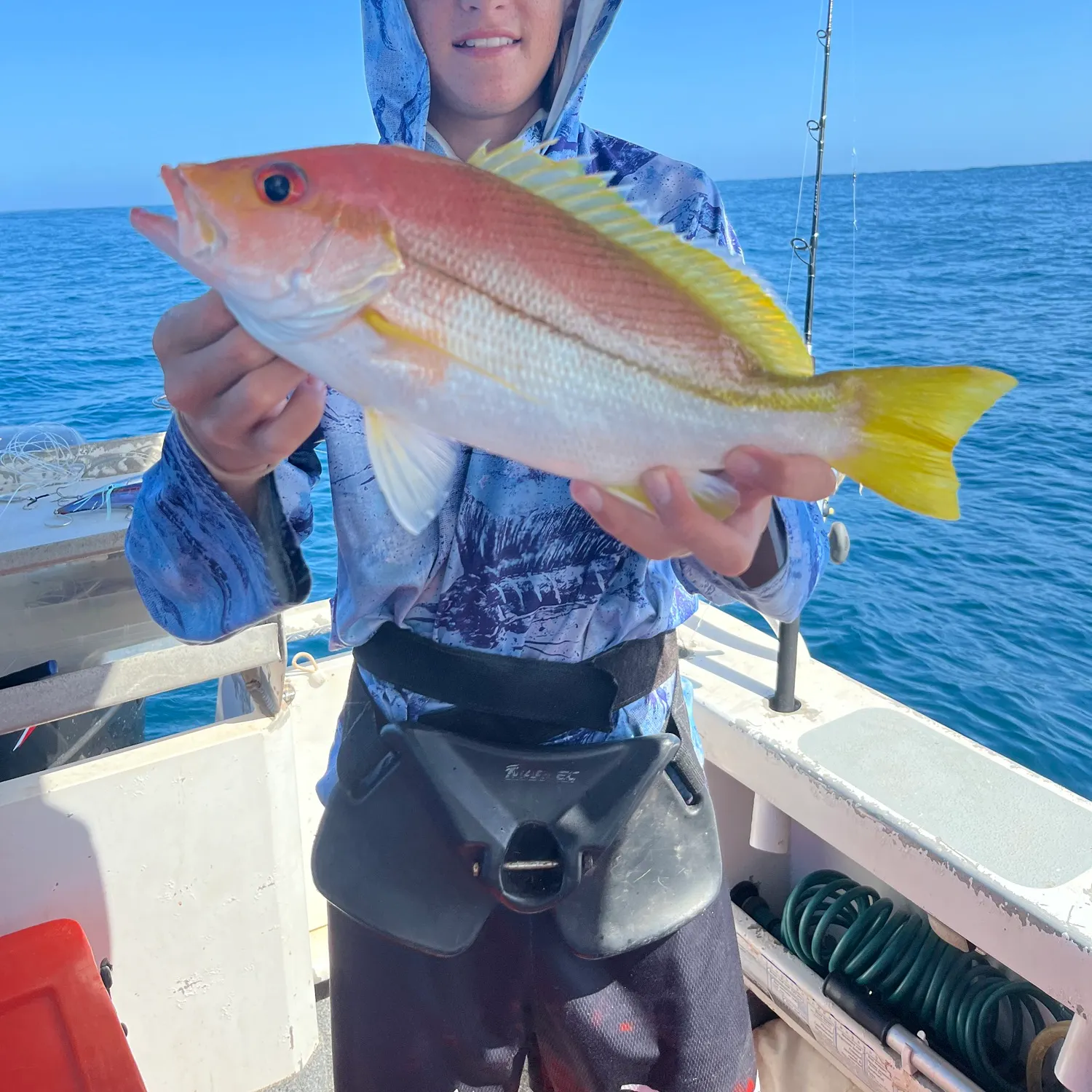 The most recent Brownstripe red snapper catches on Fishbrain