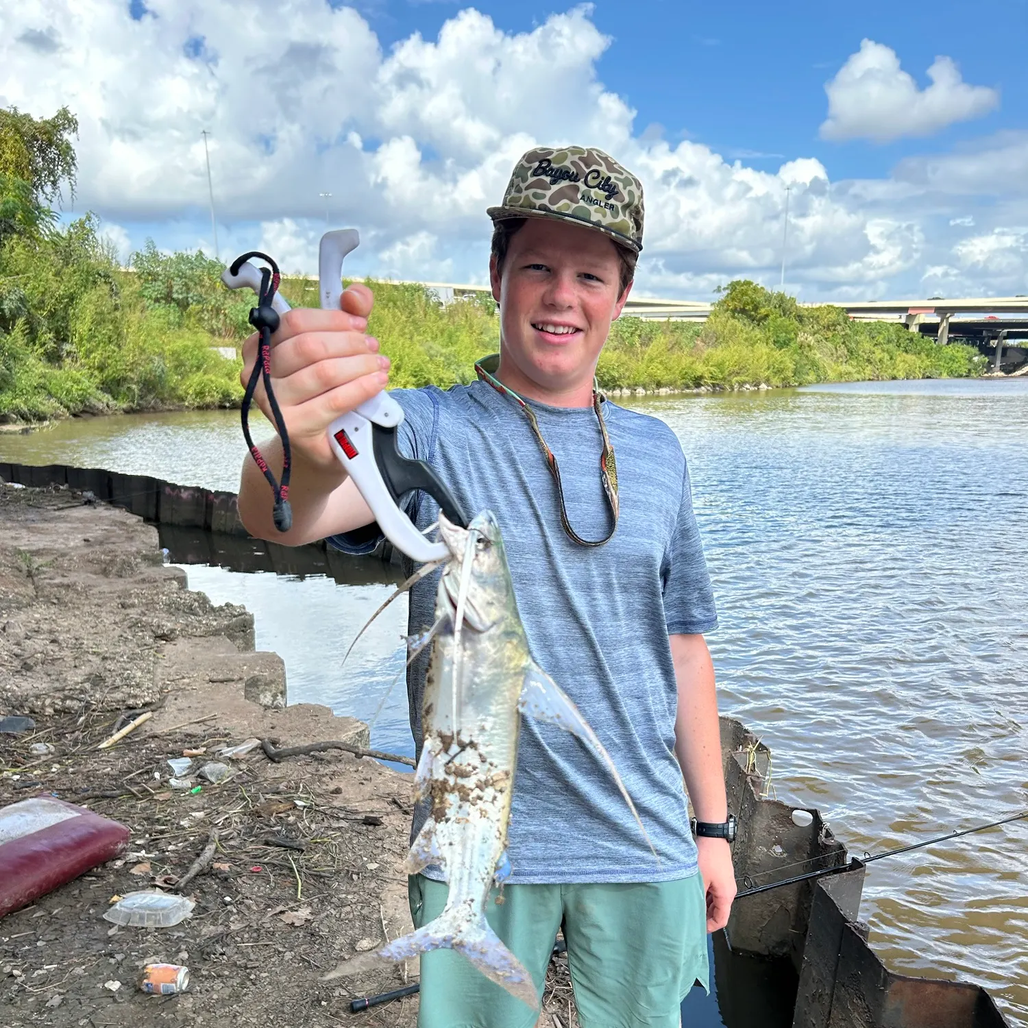 Gafftopsail sea catfish caught on Fishbrain