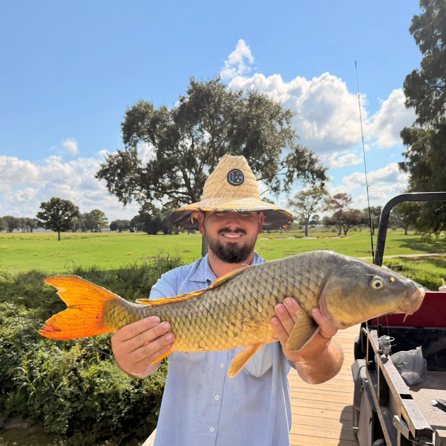 Common carp caught on Fishbrain