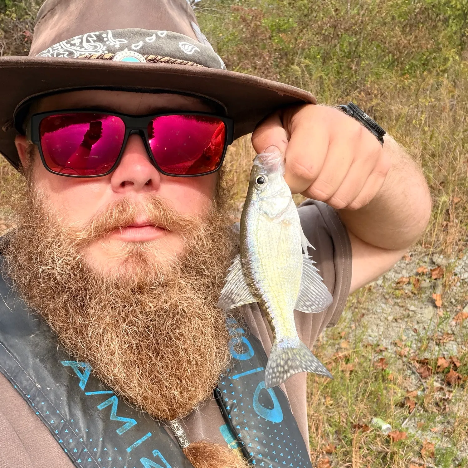 White crappie caught on Fishbrain