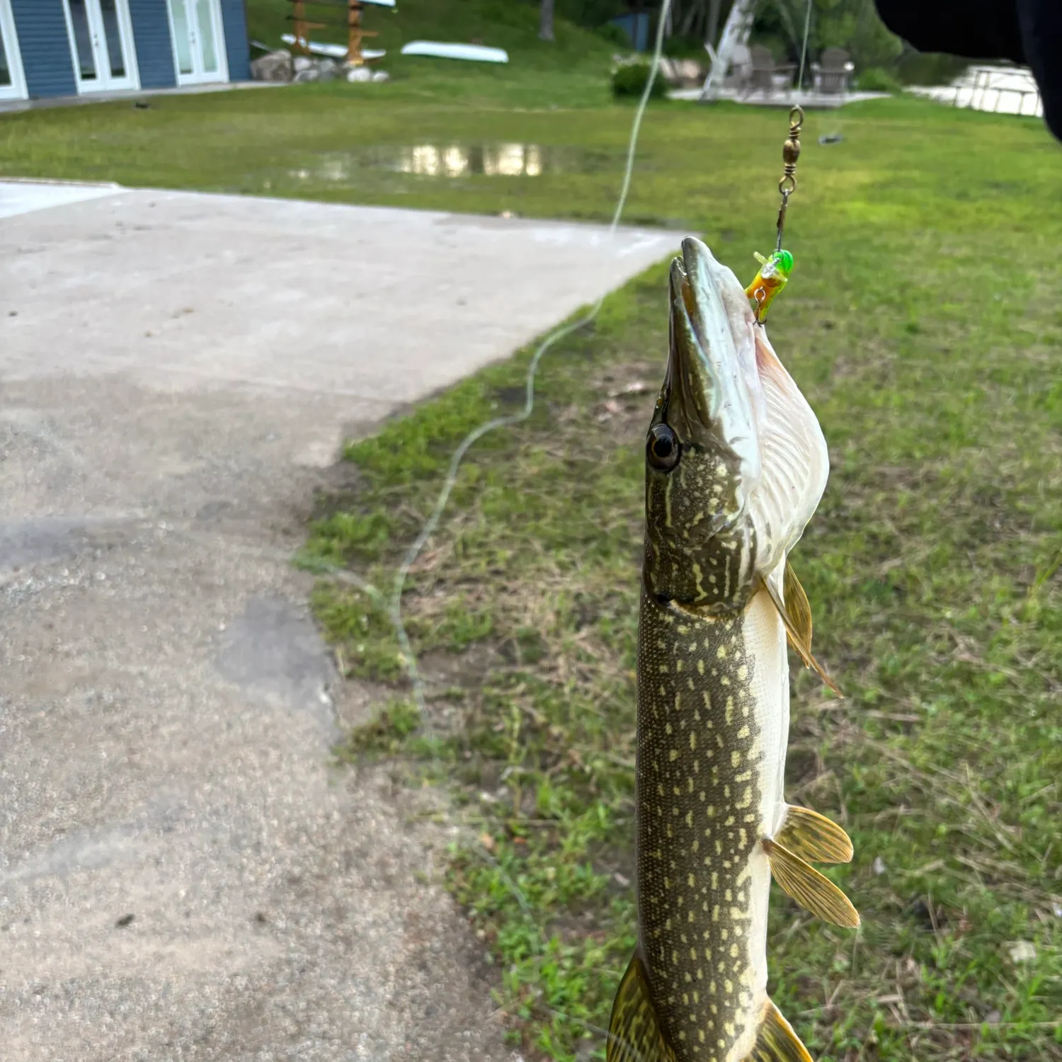 catch