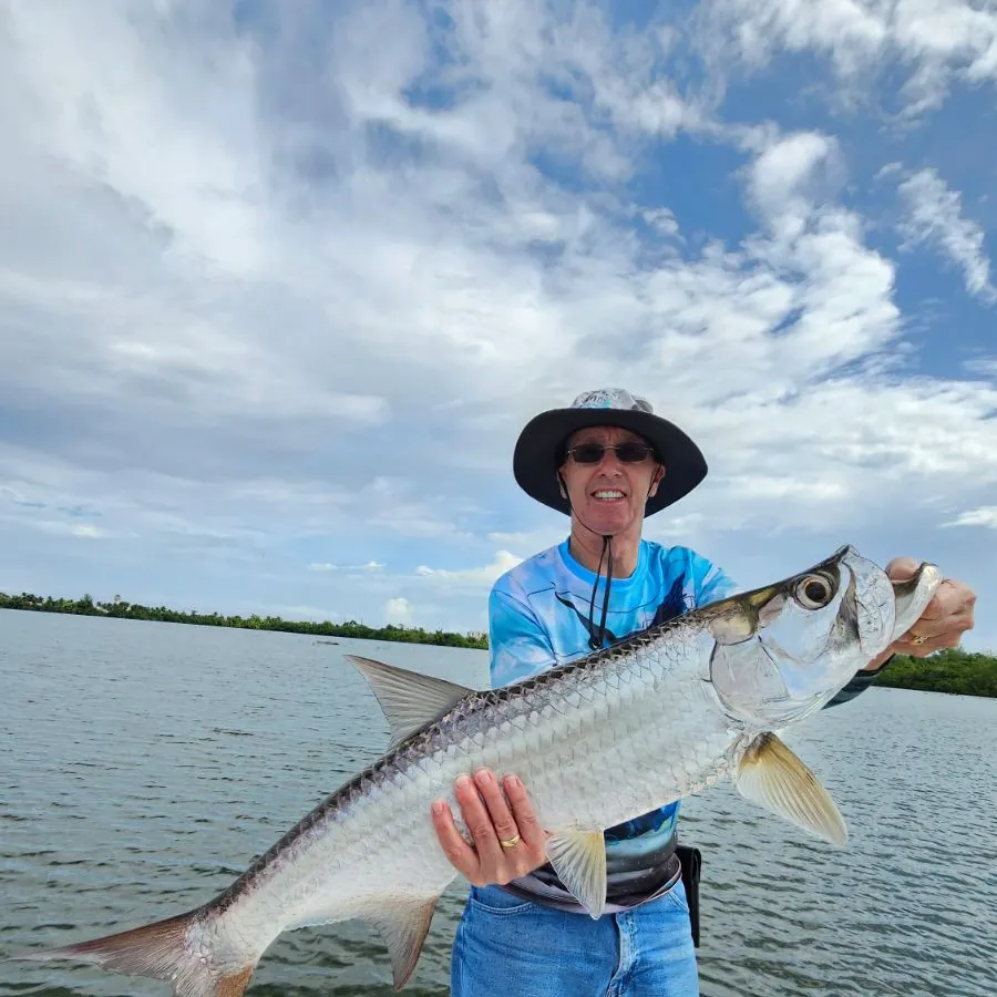 The most recent Tarpon catches on Fishbrain