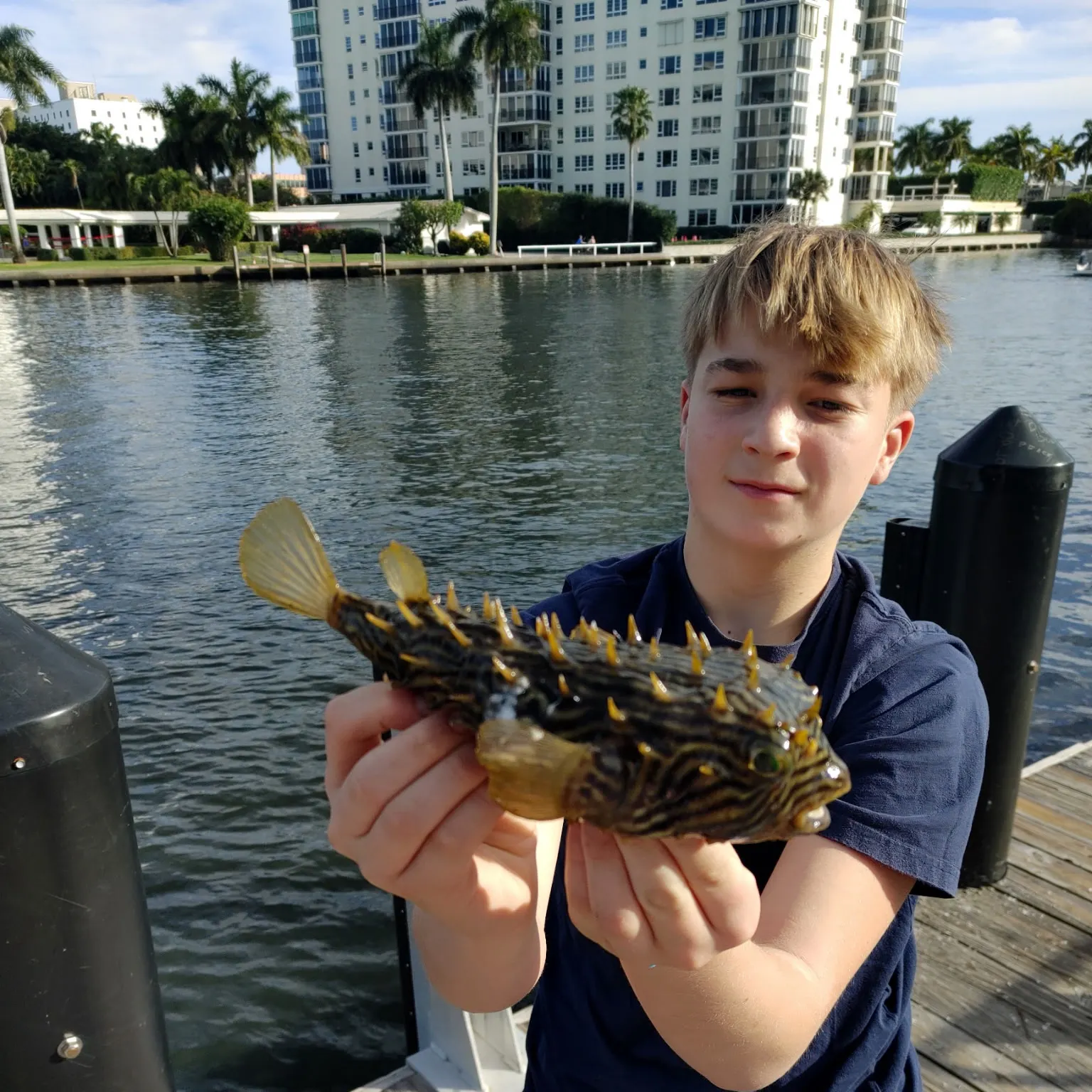 The most recent Striped burrfish catches on Fishbrain