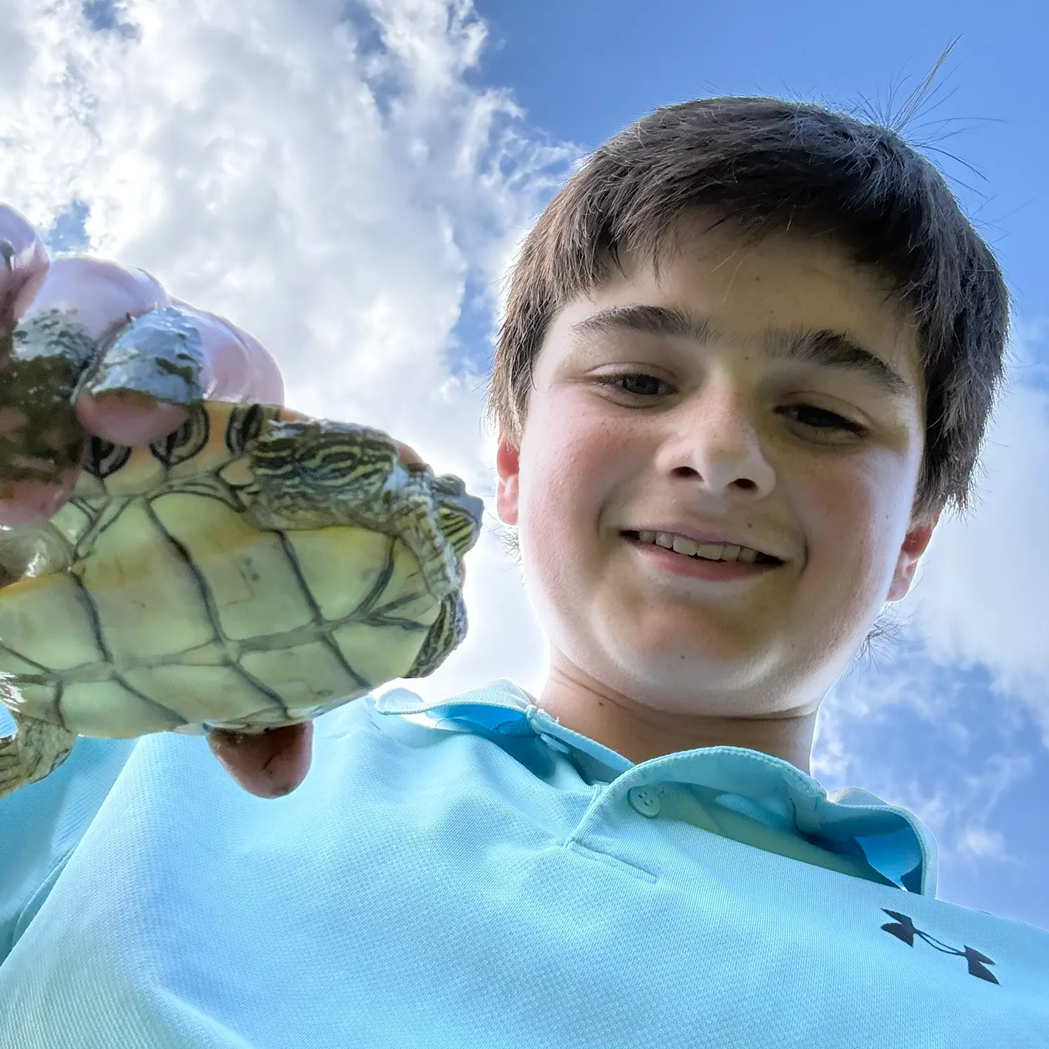 The most recent Painted turtle catches on Fishbrain