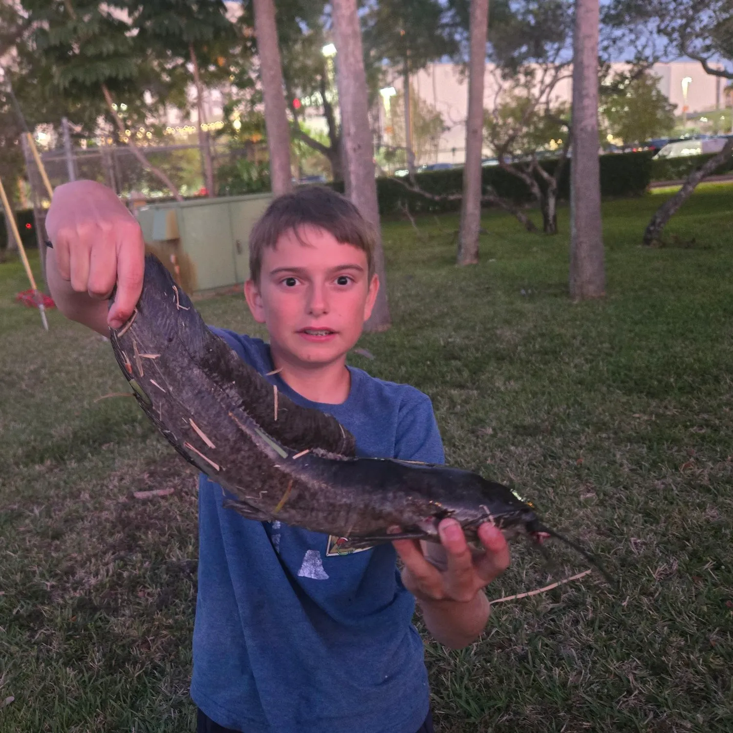 The most recent Walking catfish catches on Fishbrain