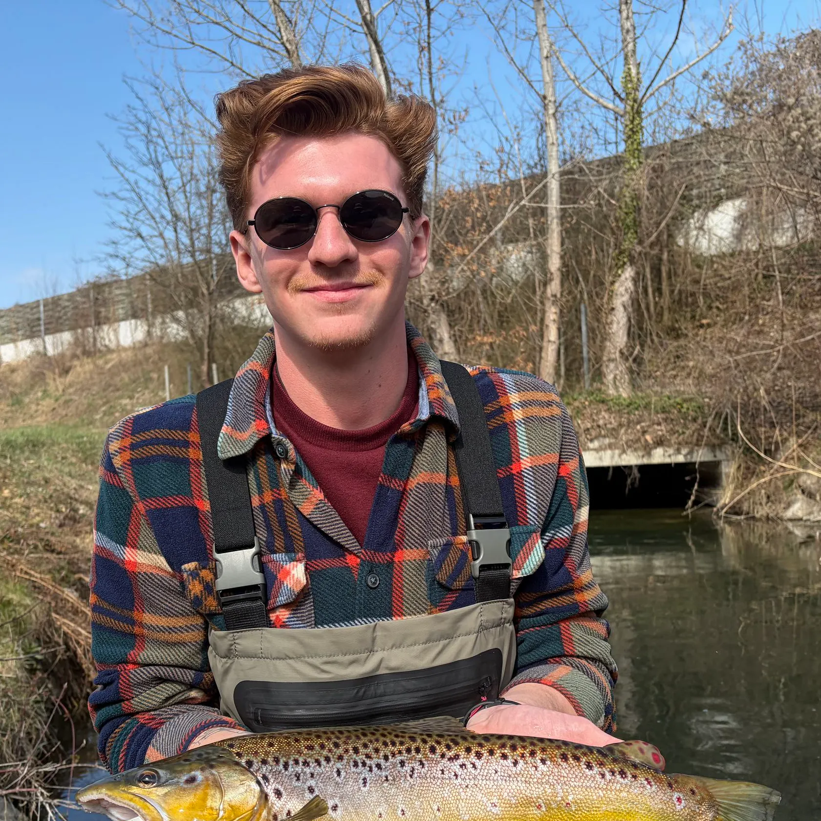Brown trout caught on Fishbrain