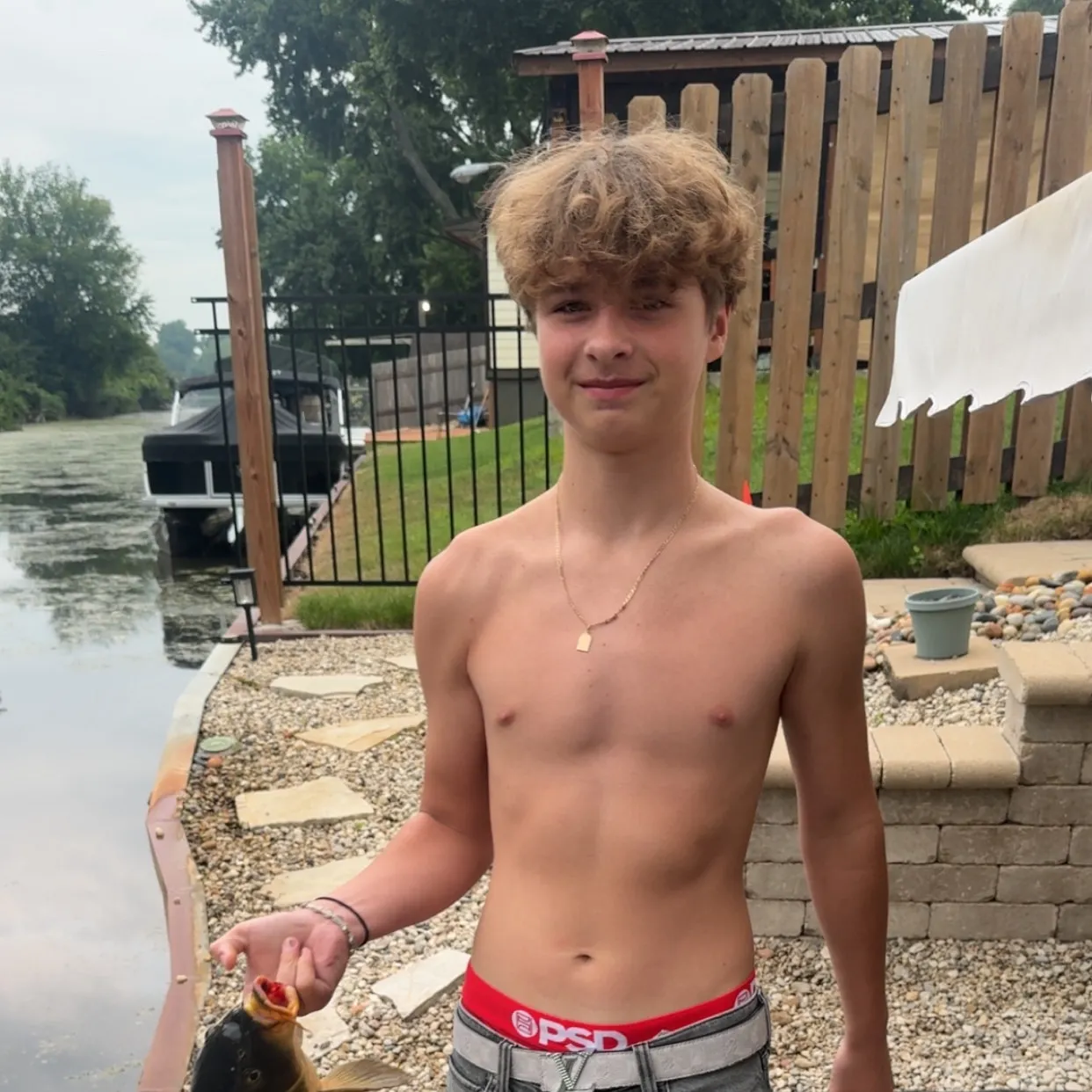Common carp caught on Fishbrain