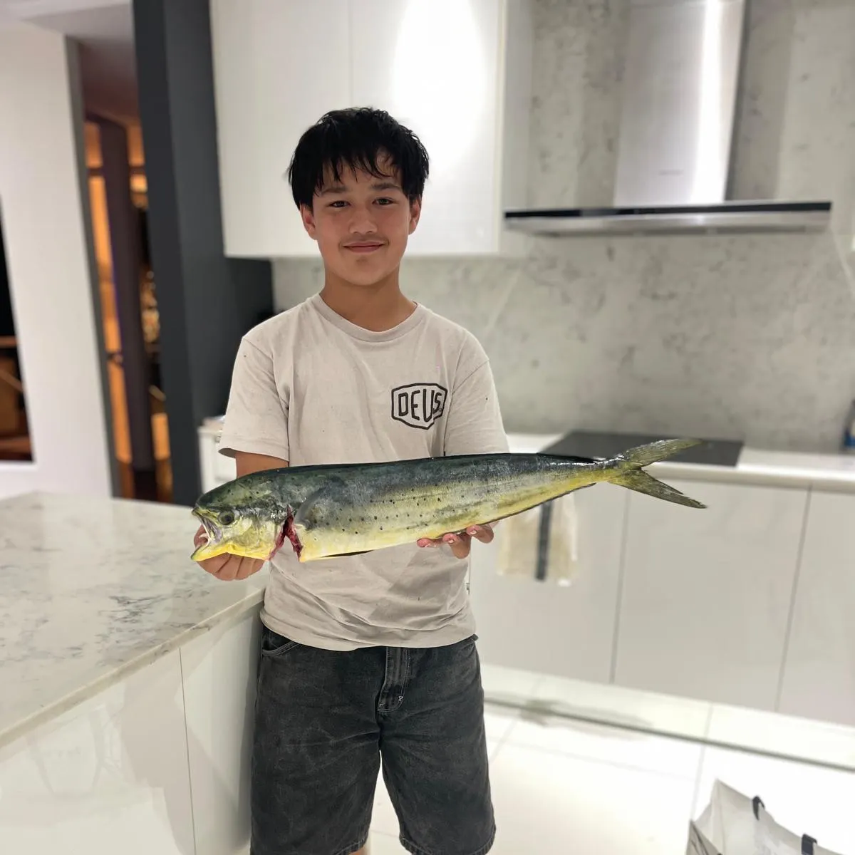 The most recent Common dolphinfish catches on Fishbrain