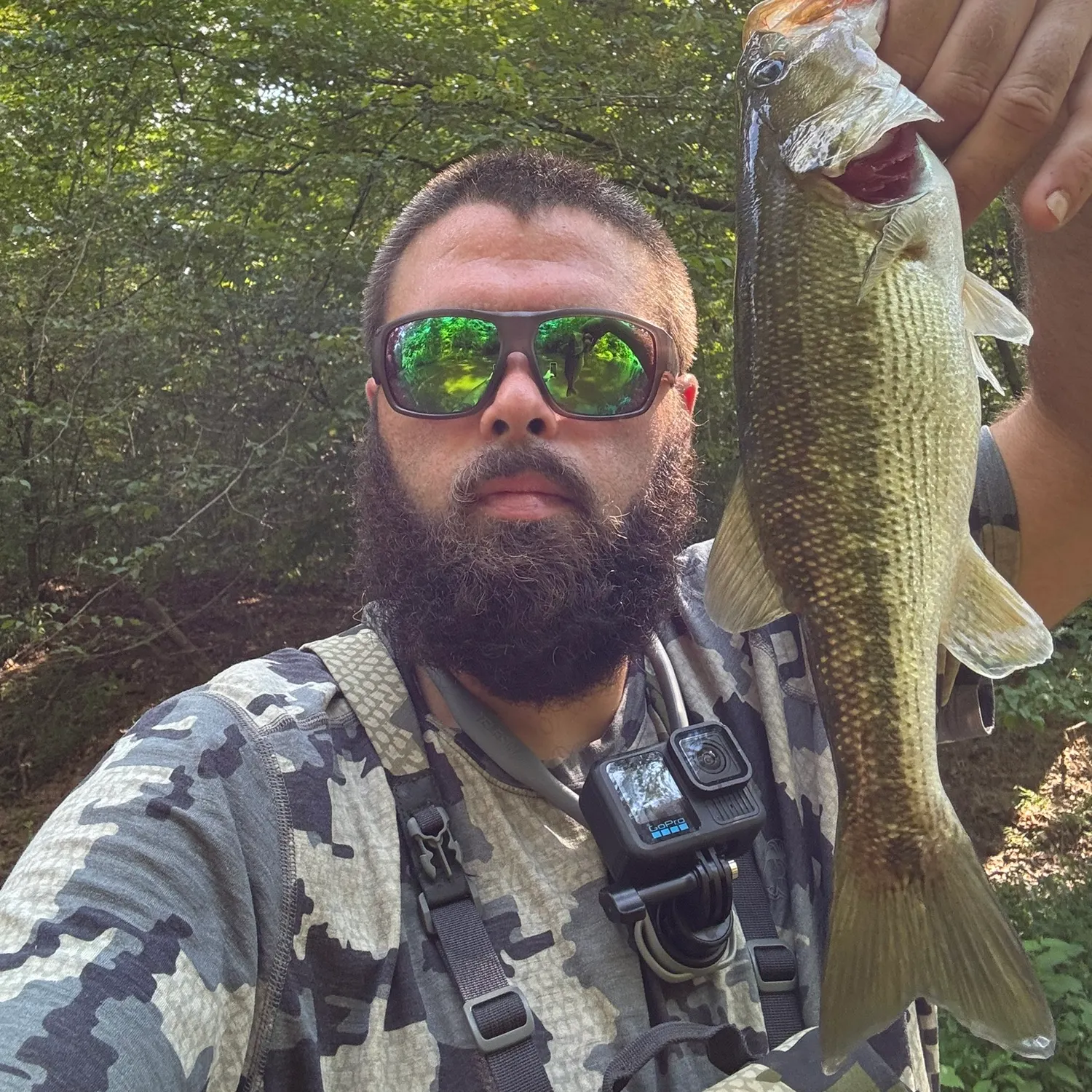 Spotted bass caught on Fishbrain