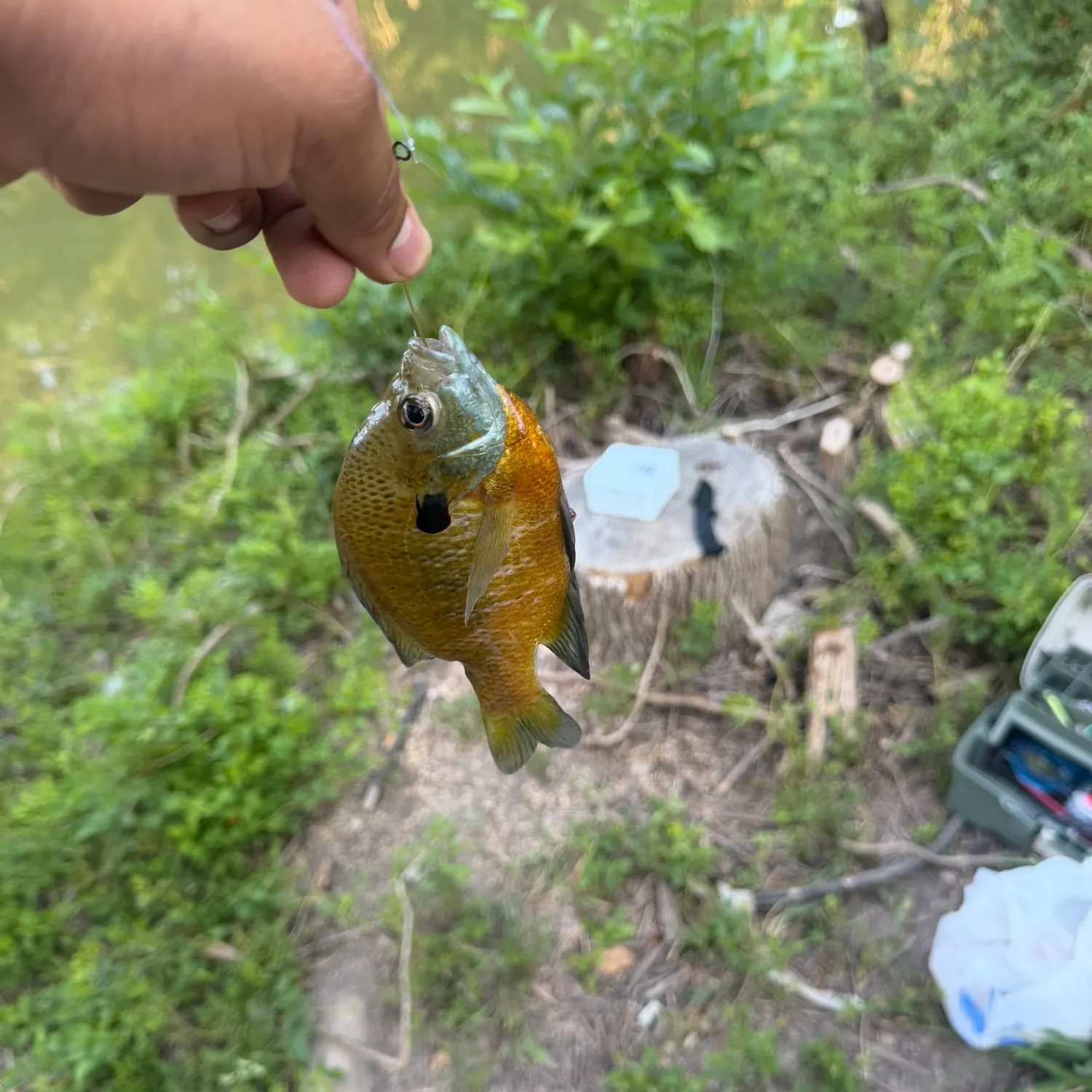 catch