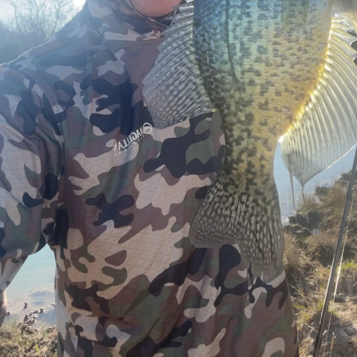 The most recent Black crappie catches on Fishbrain