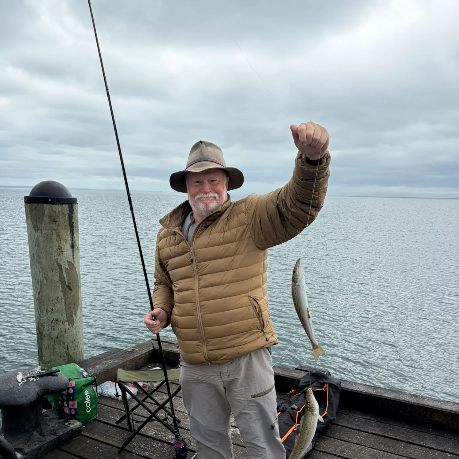 The most recent King George whiting catches on Fishbrain