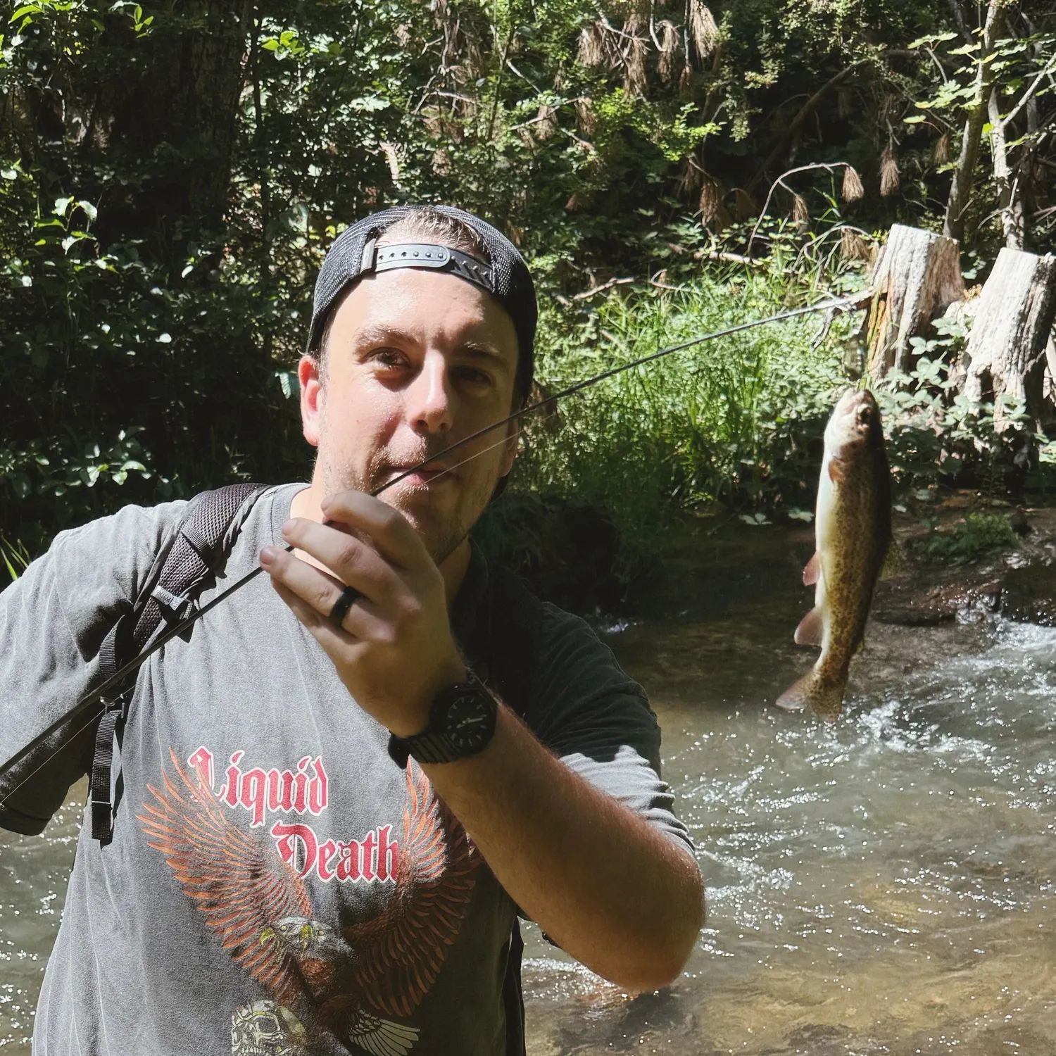 recently logged catches