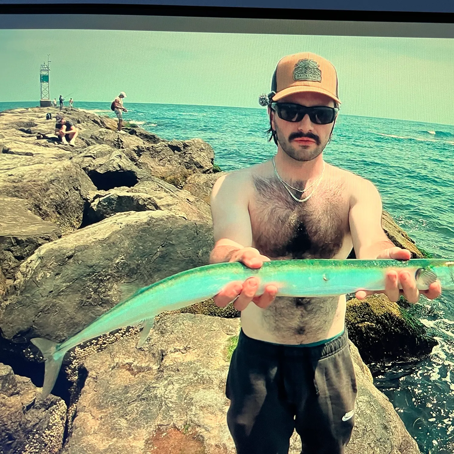 The most recent Hound needlefish catches on Fishbrain