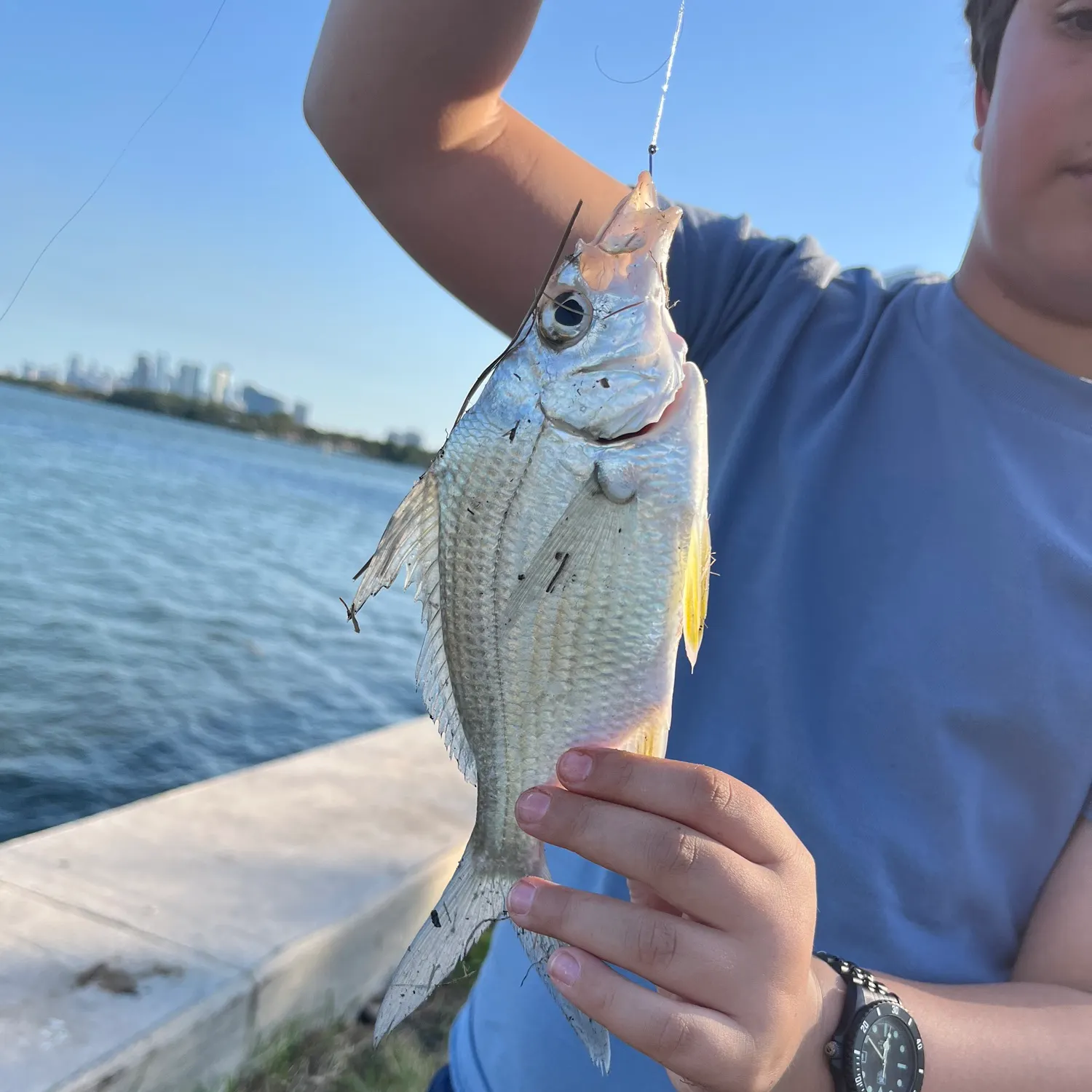 most liked catch image