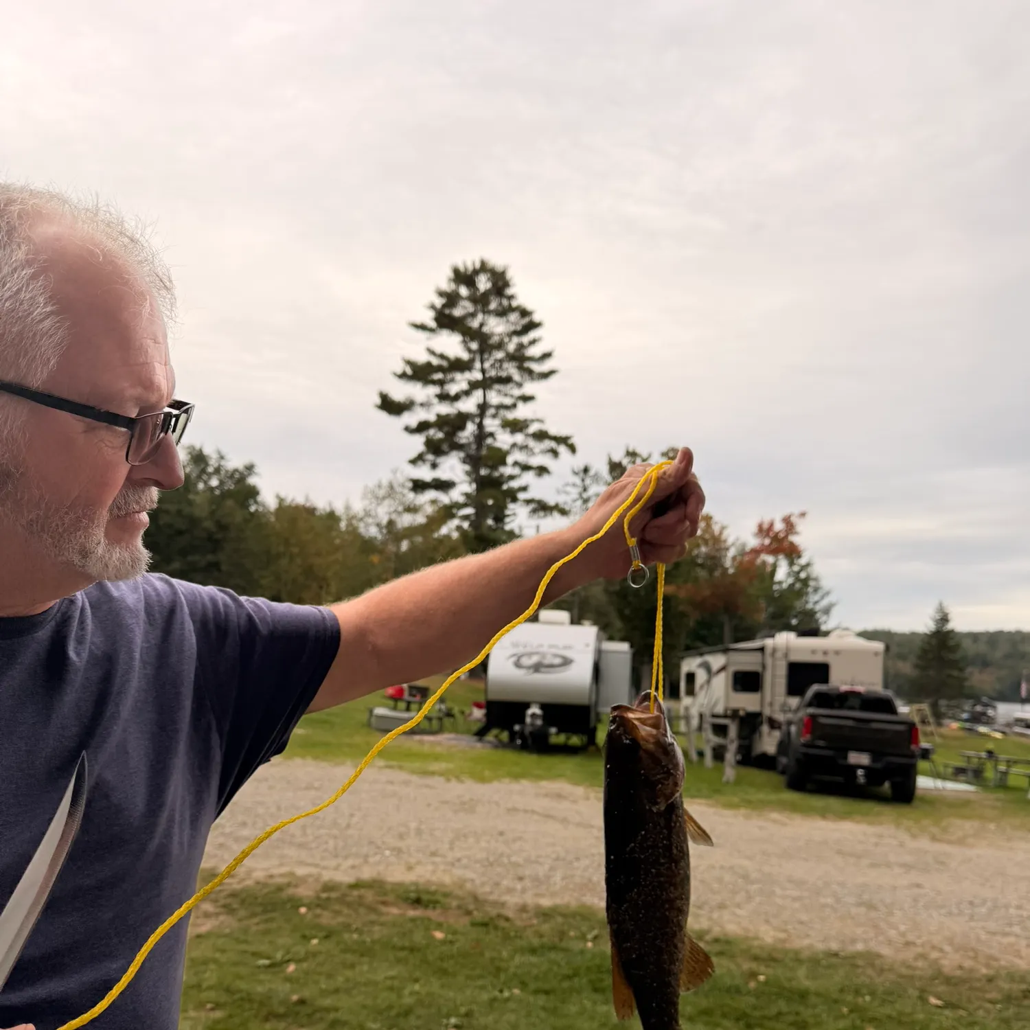 Smallmouth bass caught on Fishbrain