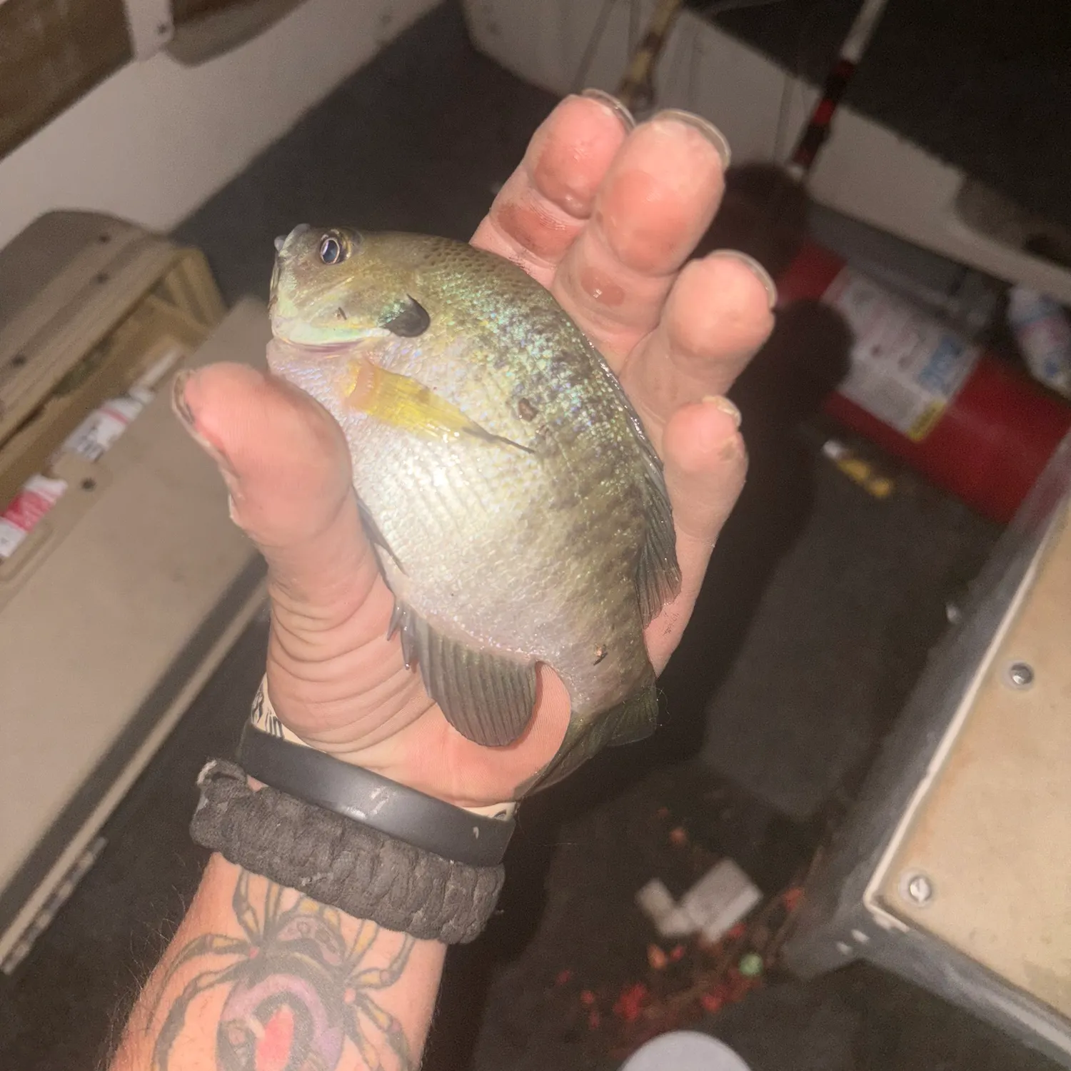 catch