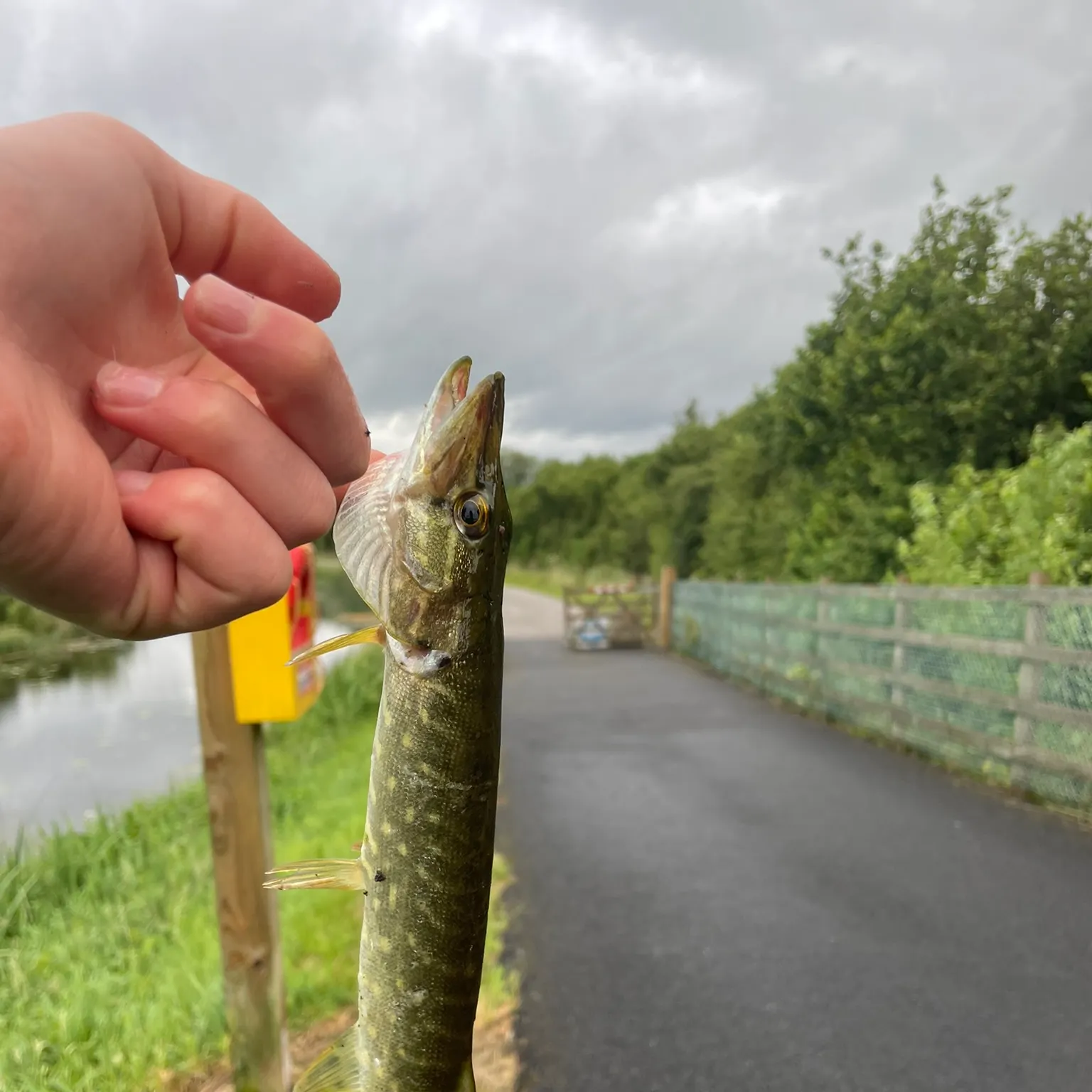 catch