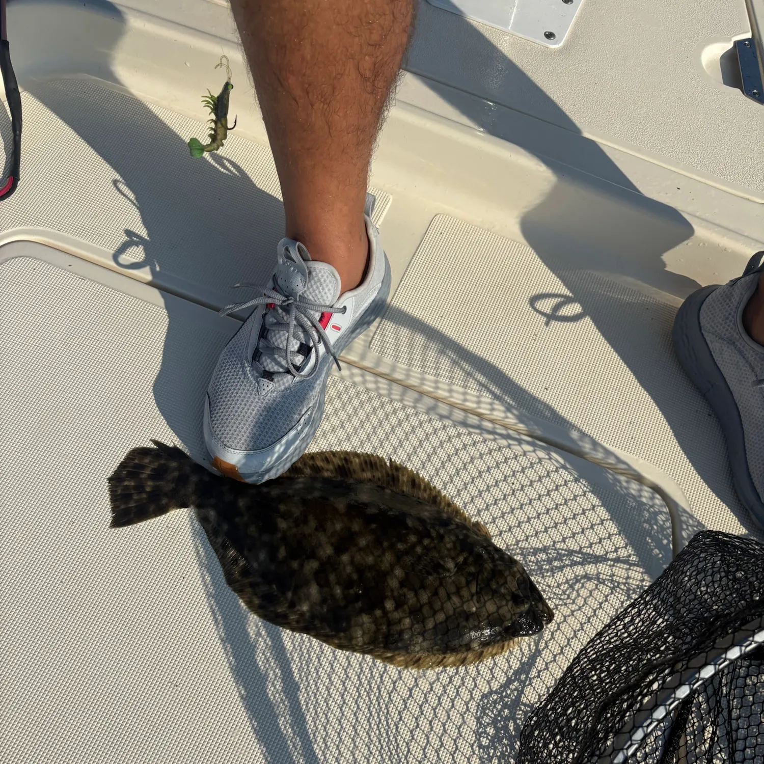 Summer flounder caught on Fishbrain