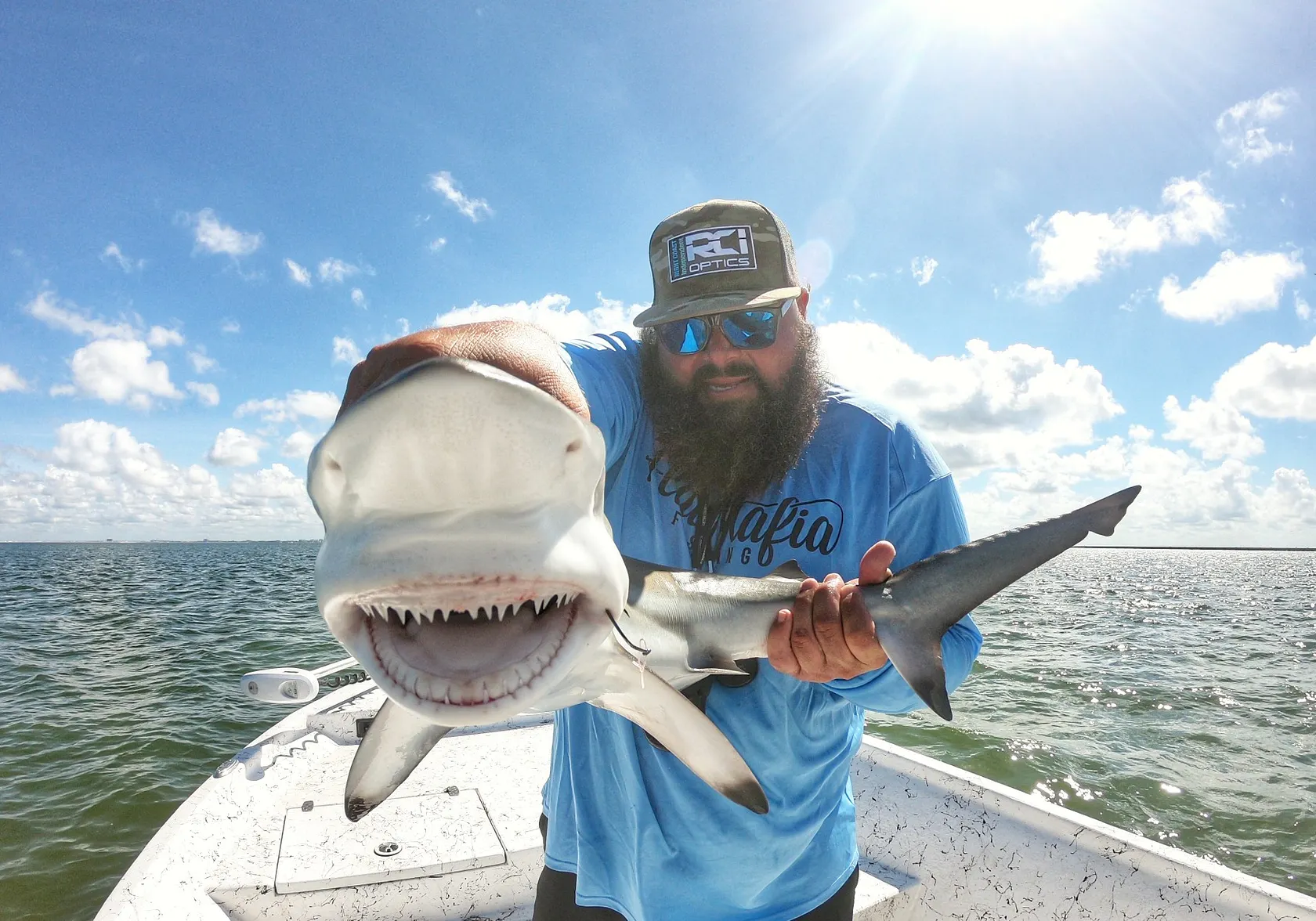 Blacktip shark