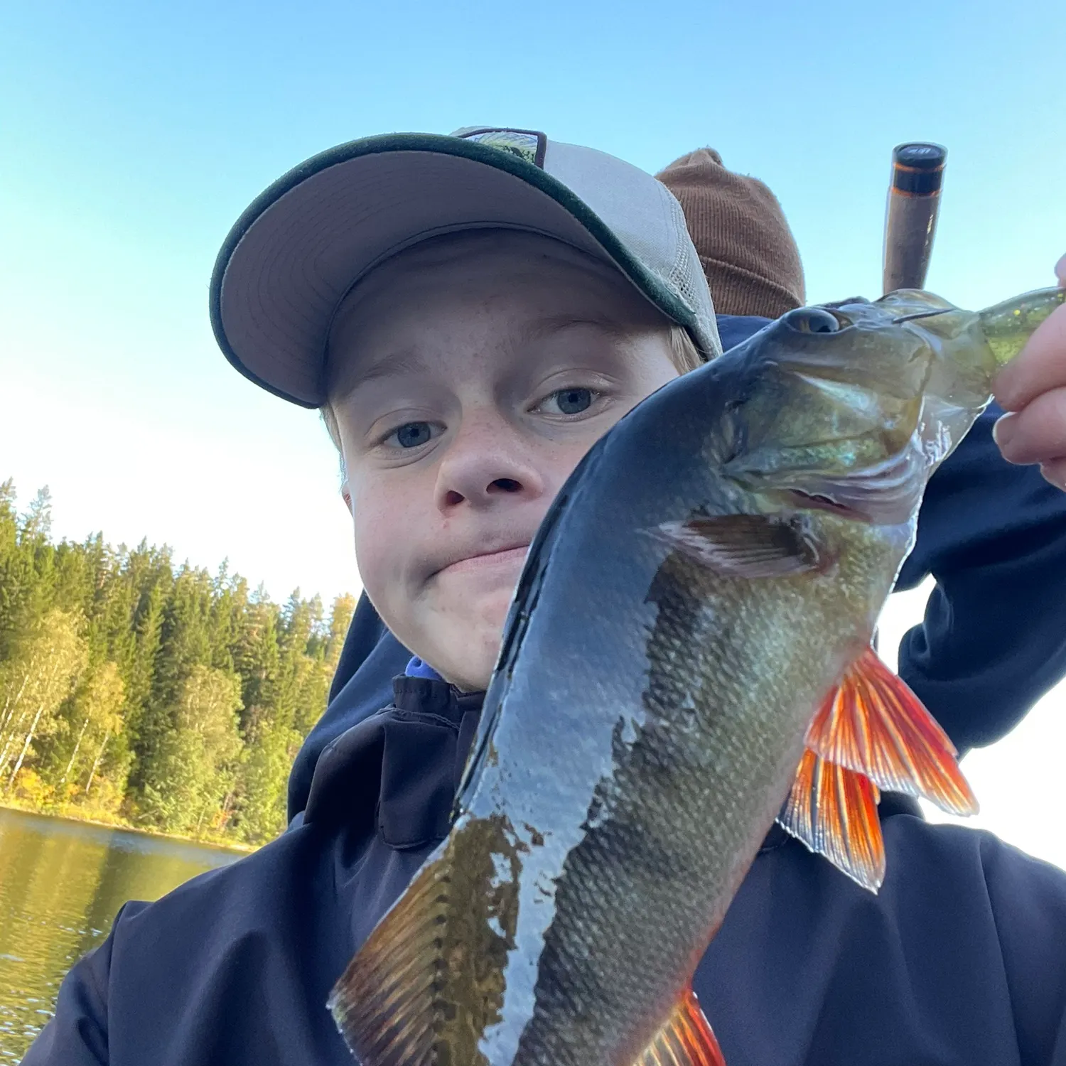 European perch caught on Fishbrain