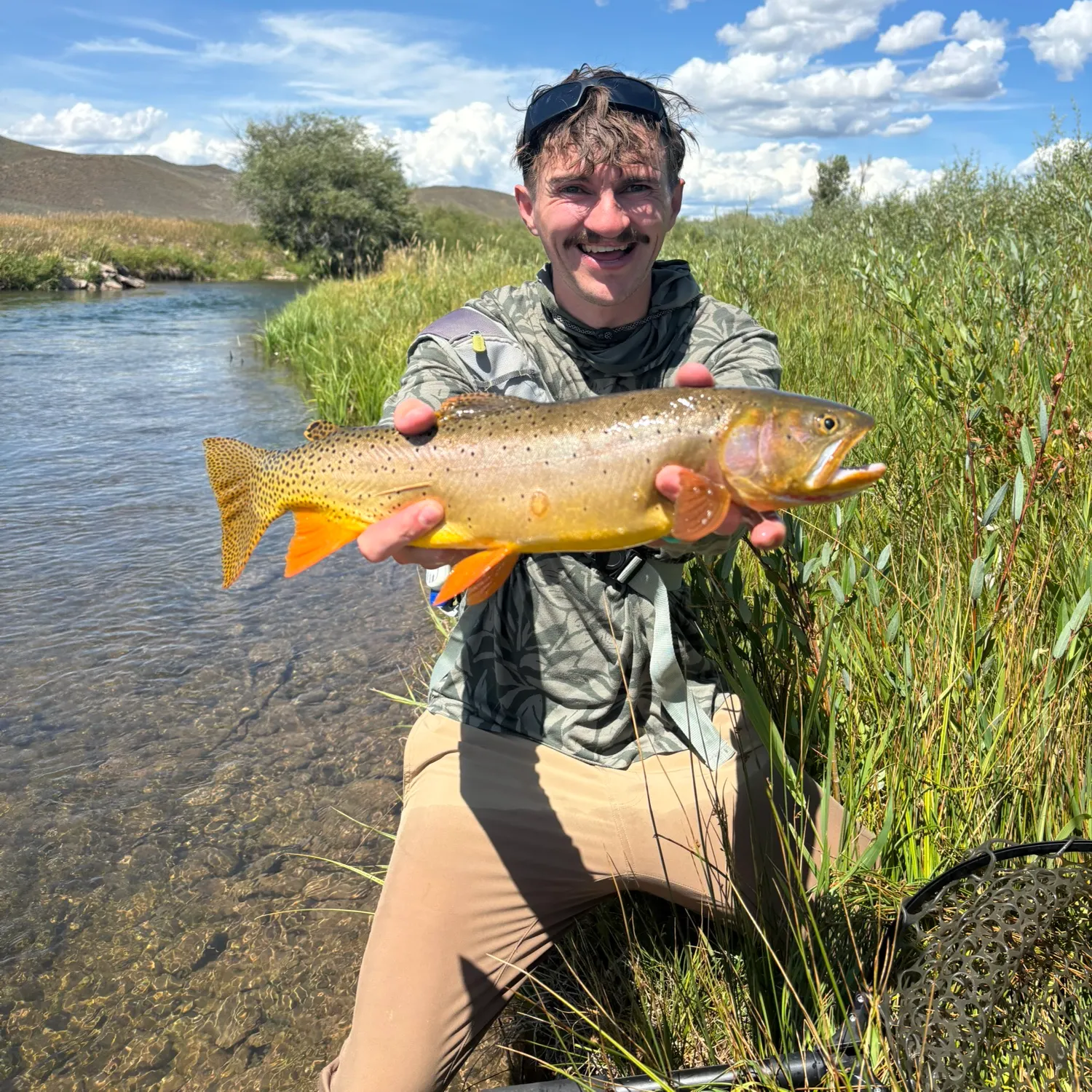 Cutthroat trout caught on Fishbrain