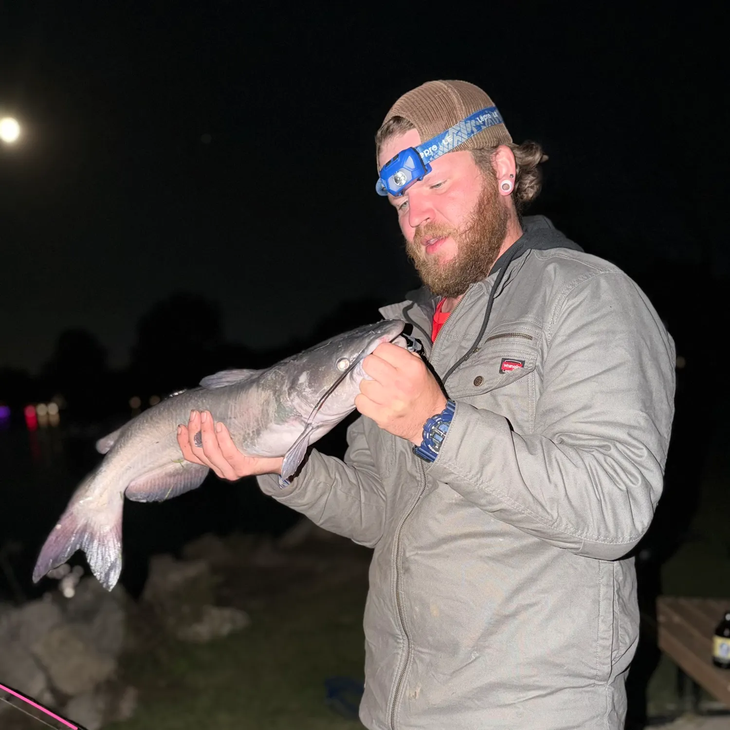 Channel catfish caught on Fishbrain