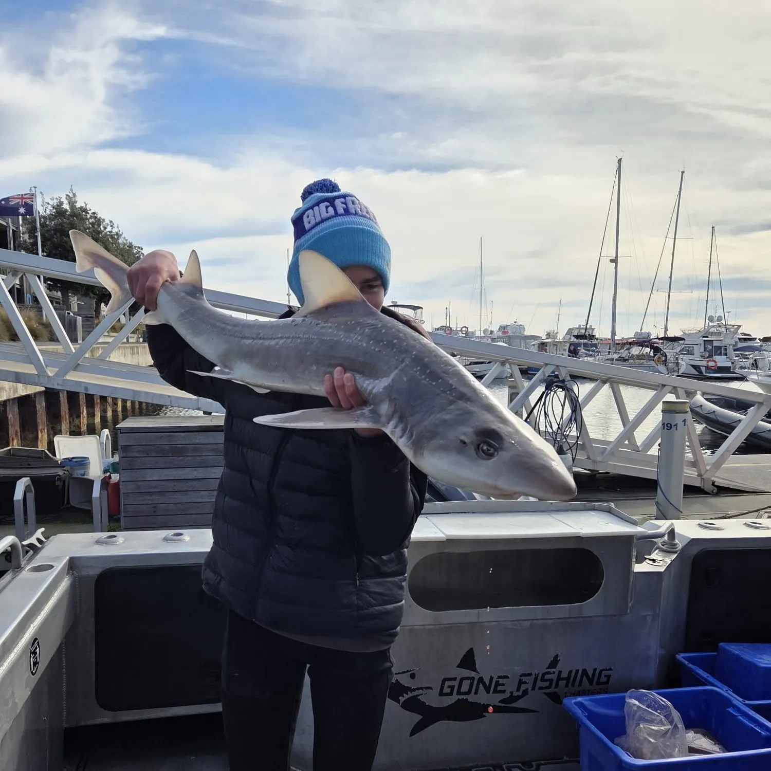 The most recent Gummy shark catches on Fishbrain