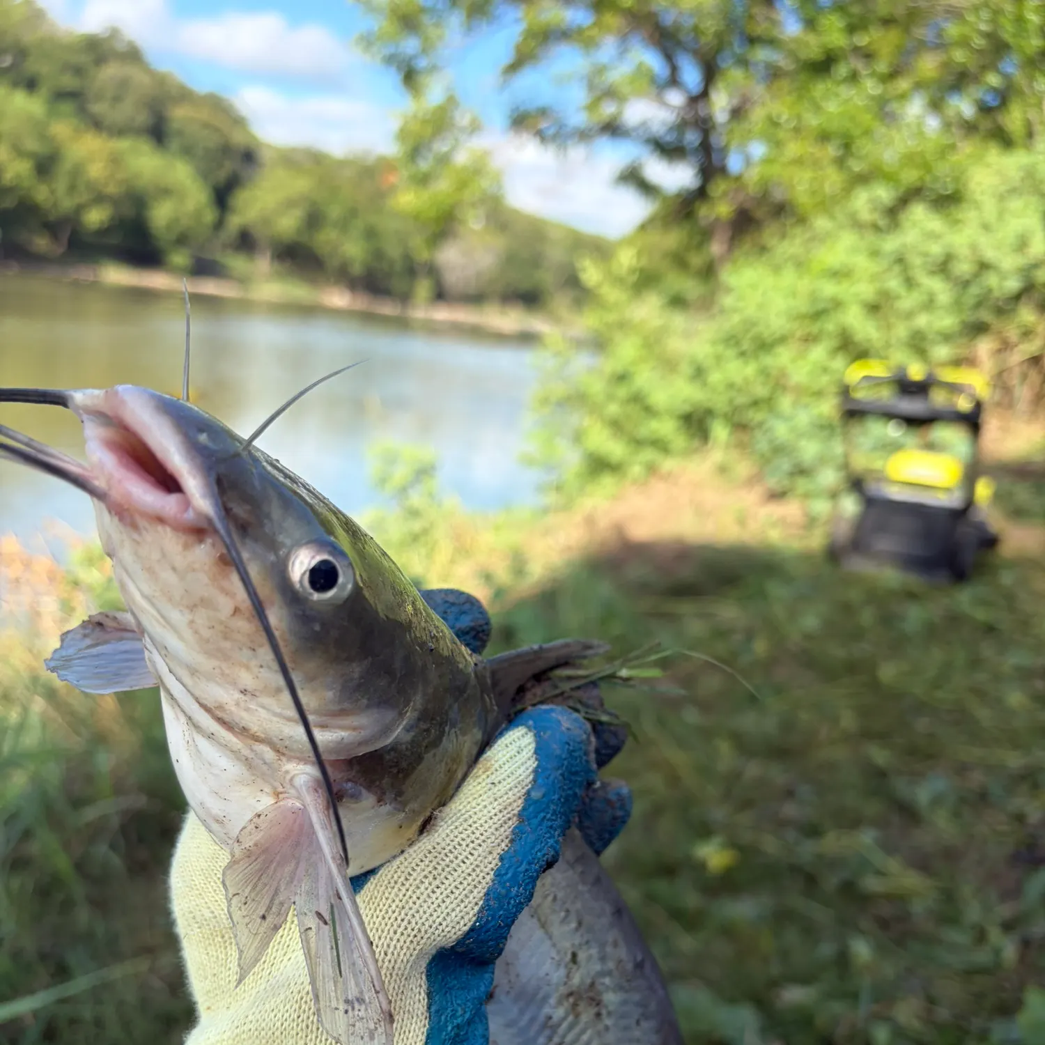 catch