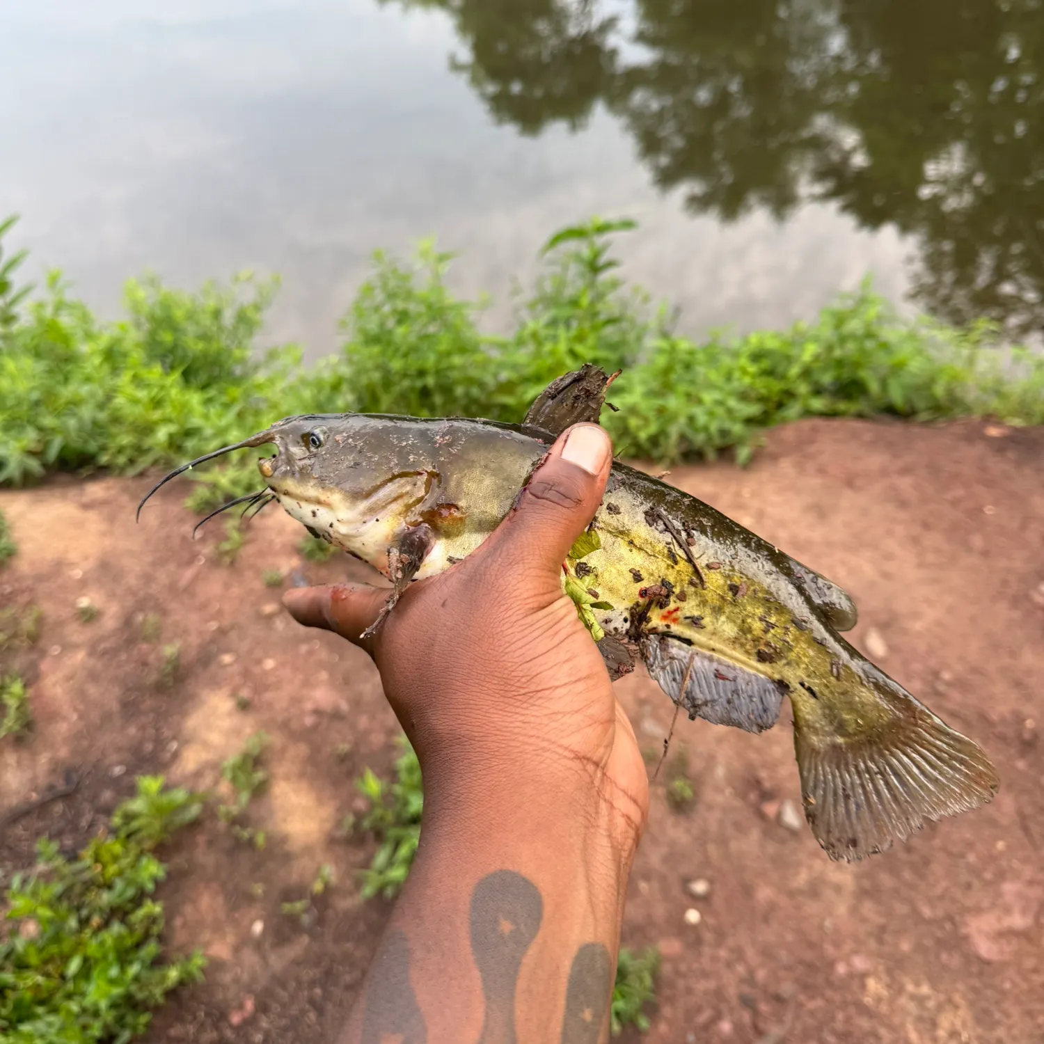 catch