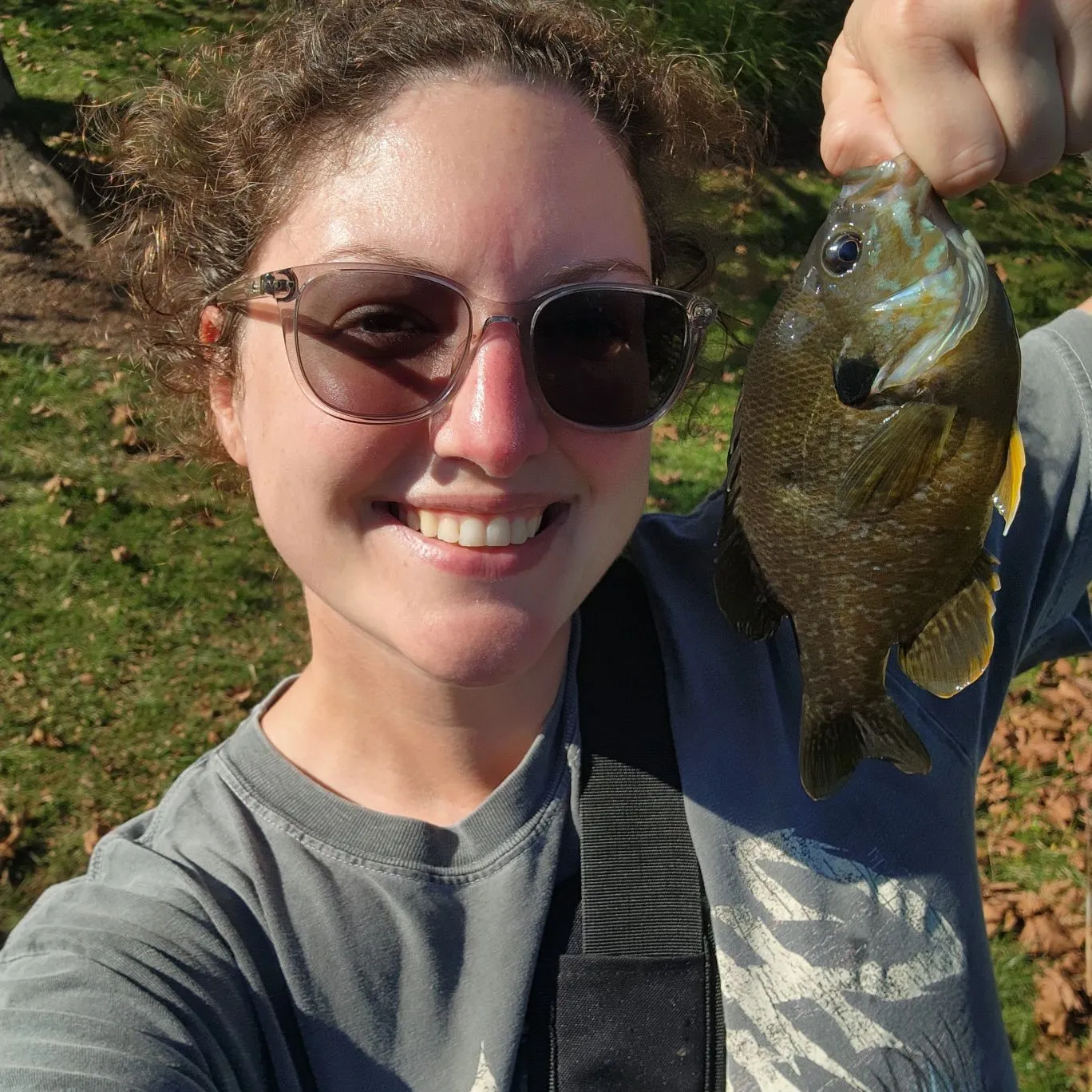 Greengill hybrid caught on Fishbrain